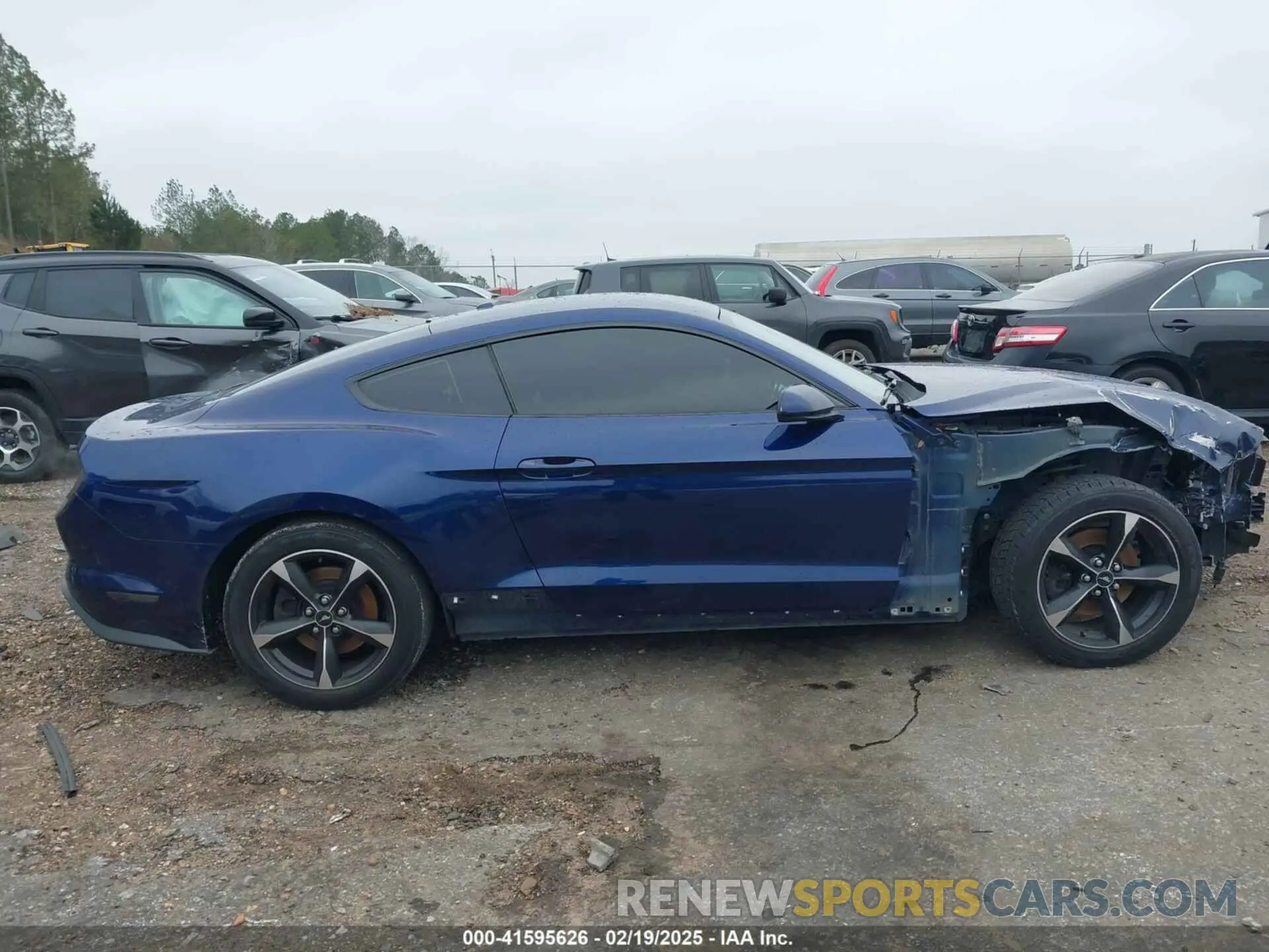 14 Photograph of a damaged car 1FA6P8TH7K5167134 FORD MUSTANG 2019