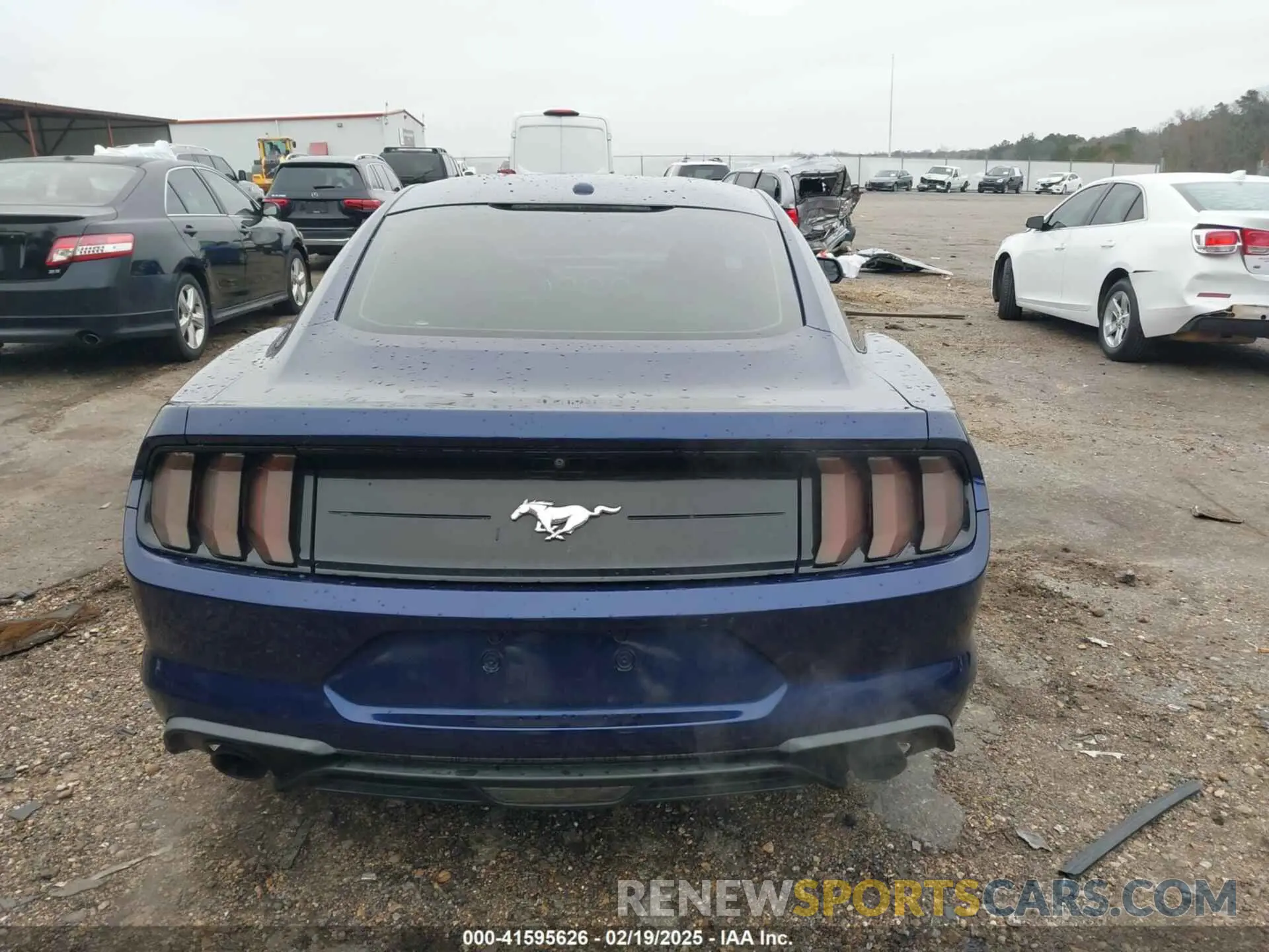 17 Photograph of a damaged car 1FA6P8TH7K5167134 FORD MUSTANG 2019