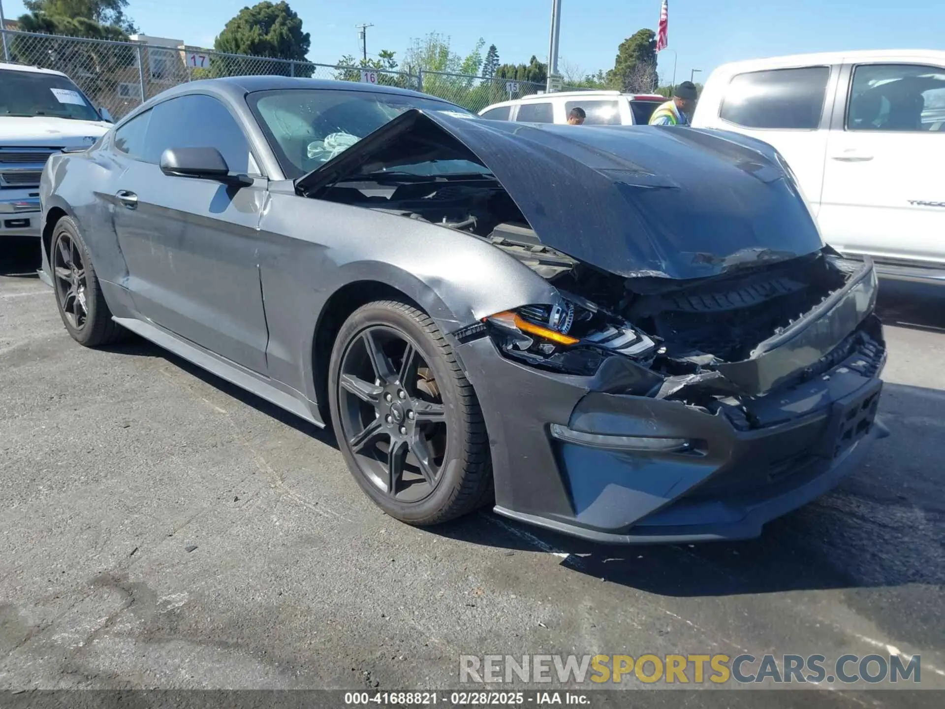 1 Photograph of a damaged car 1FA6P8TH8K5106195 FORD MUSTANG 2019
