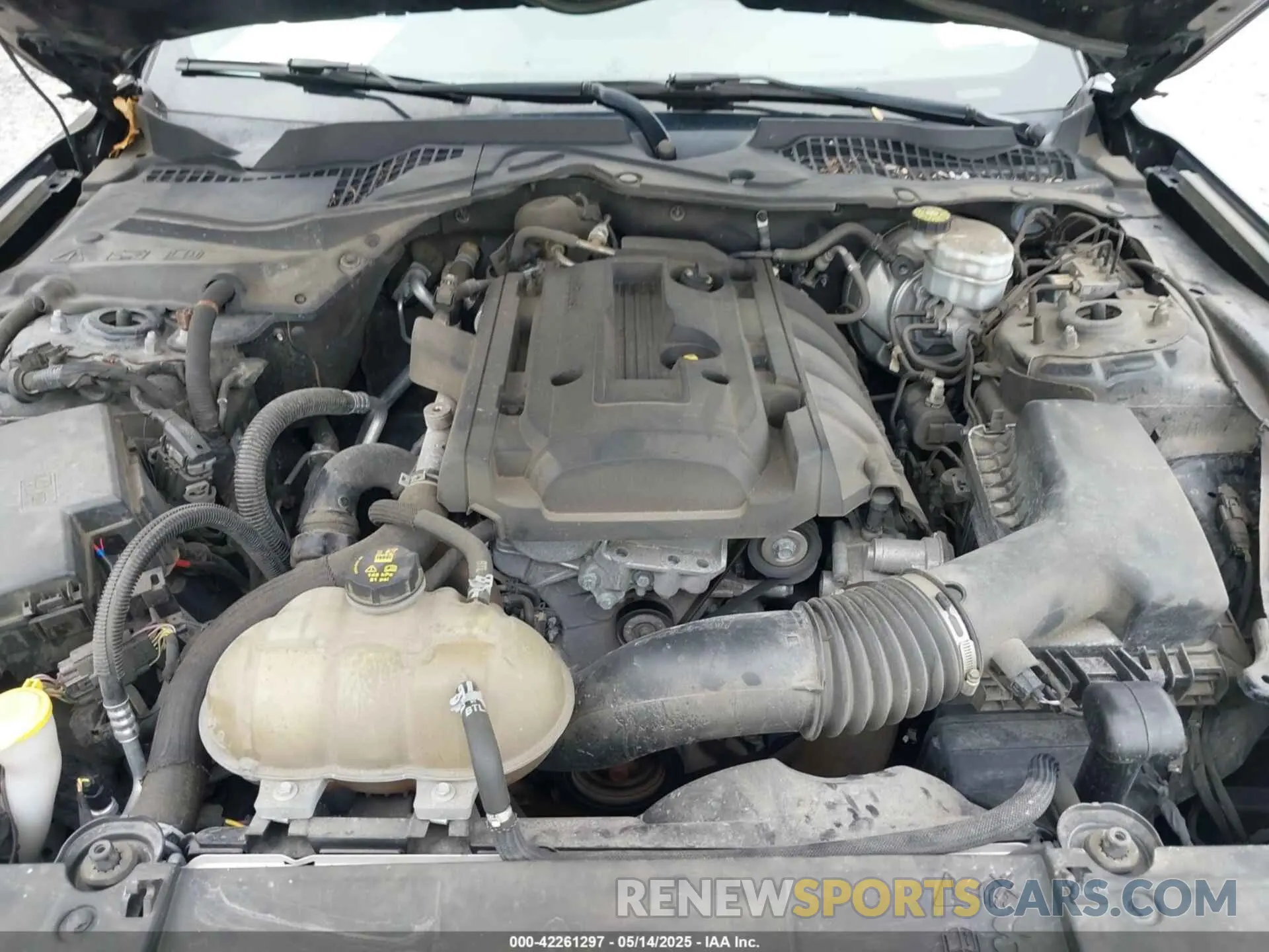 10 Photograph of a damaged car 1FA6P8TH8K5129816 FORD MUSTANG 2019