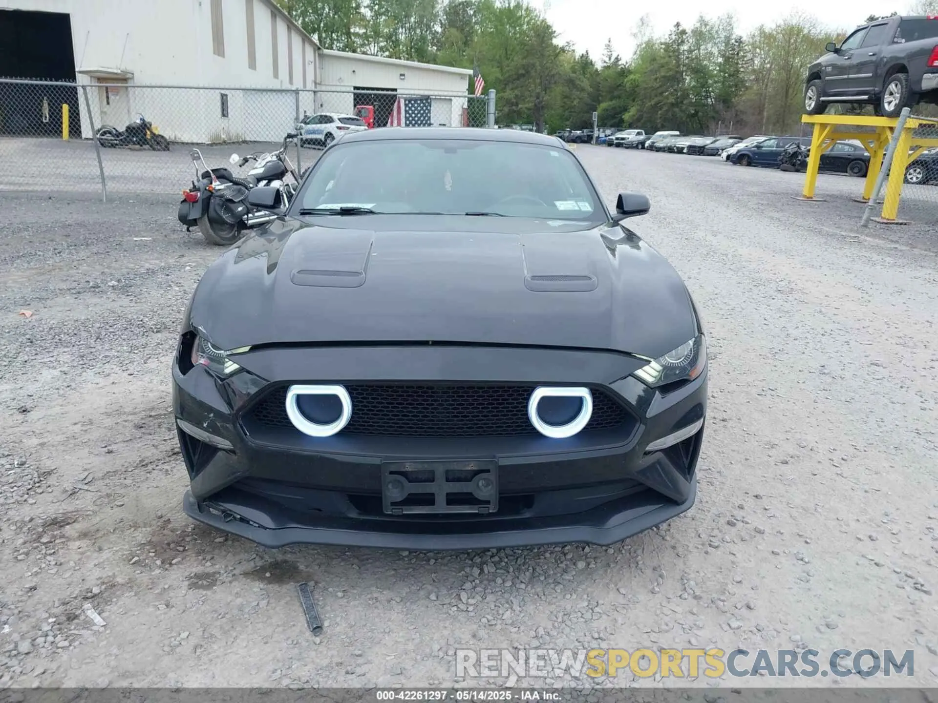 12 Photograph of a damaged car 1FA6P8TH8K5129816 FORD MUSTANG 2019