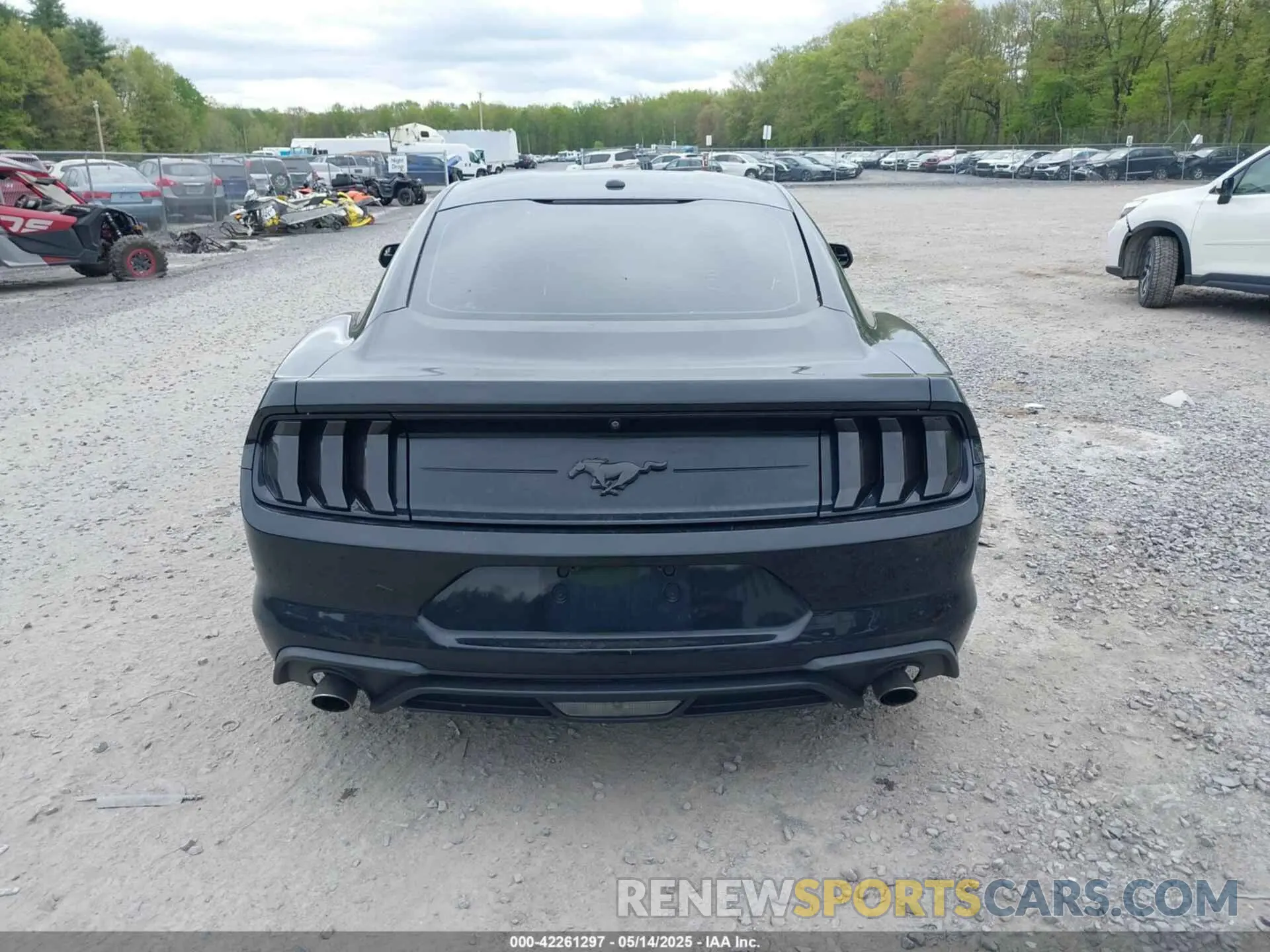16 Photograph of a damaged car 1FA6P8TH8K5129816 FORD MUSTANG 2019