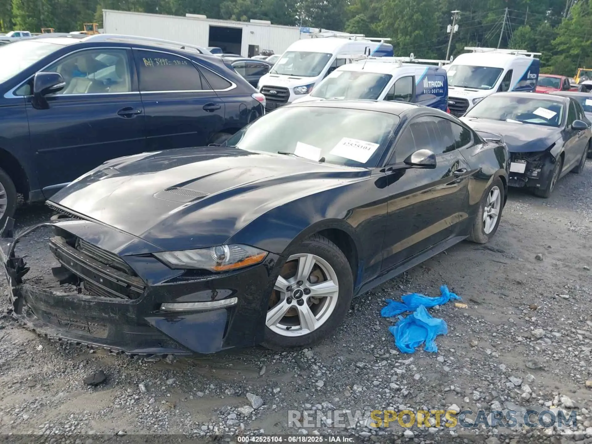 2 Photograph of a damaged car 1FA6P8TH8K5132182 FORD MUSTANG 2019