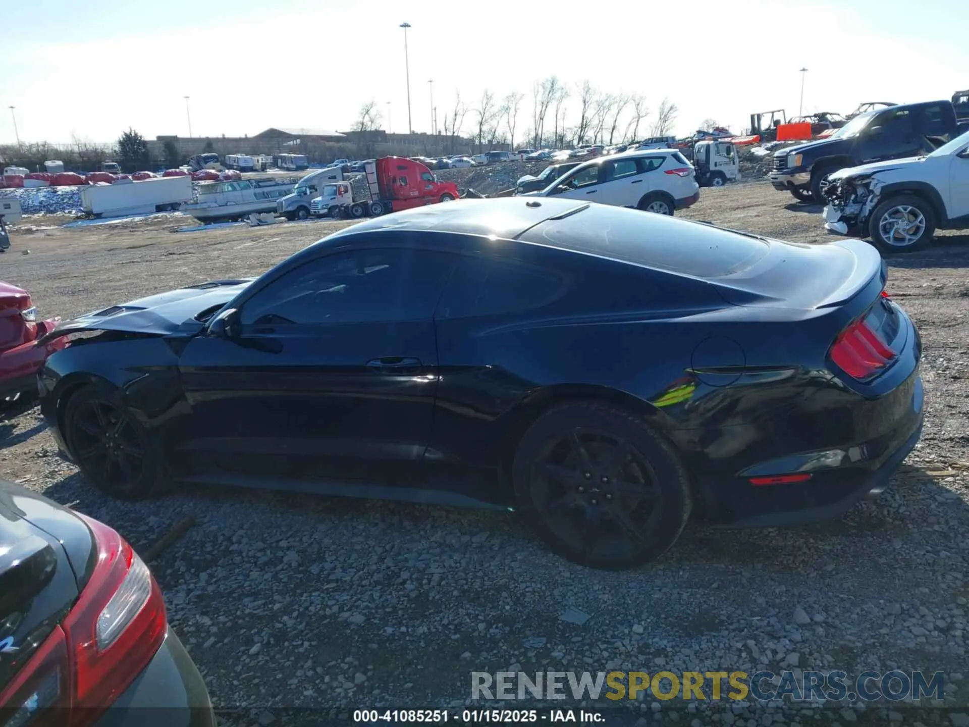 14 Photograph of a damaged car 1FA6P8TH8K5173458 FORD MUSTANG 2019