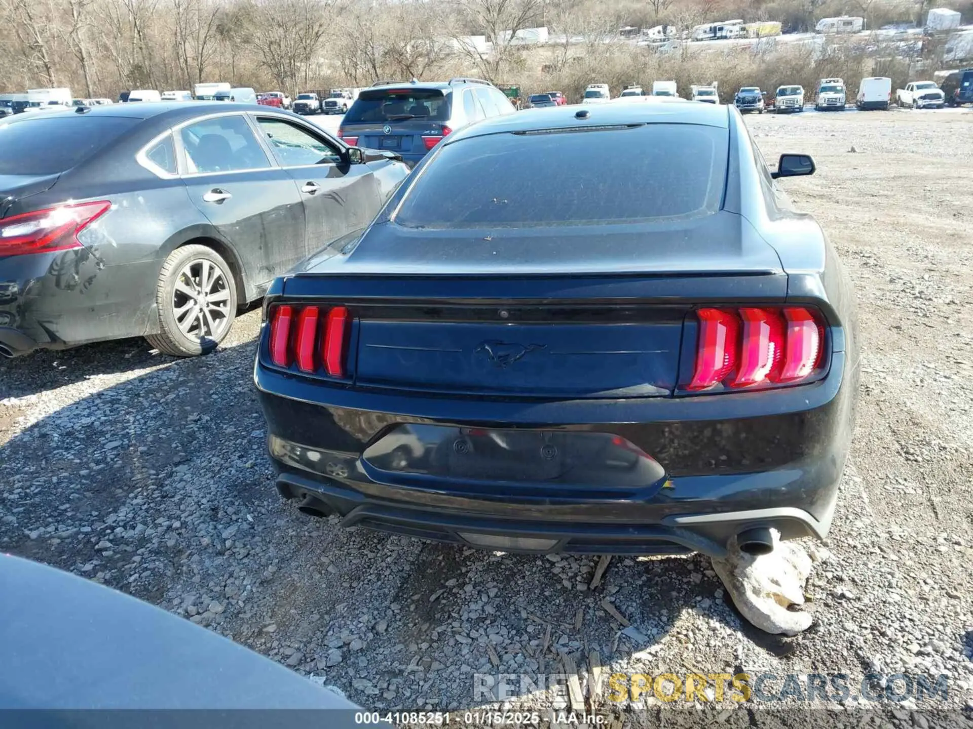 16 Photograph of a damaged car 1FA6P8TH8K5173458 FORD MUSTANG 2019