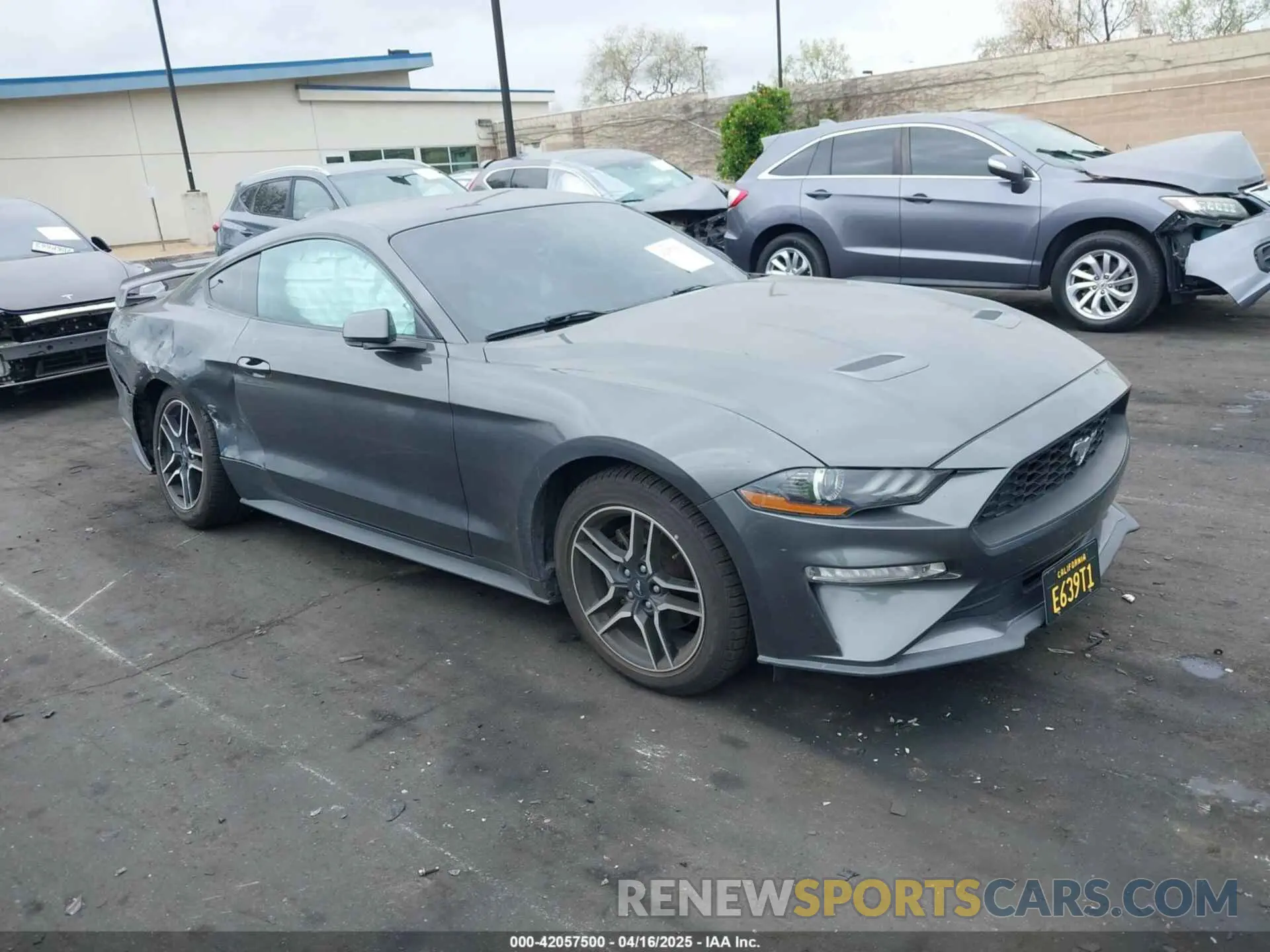 1 Photograph of a damaged car 1FA6P8TH8K5197825 FORD MUSTANG 2019