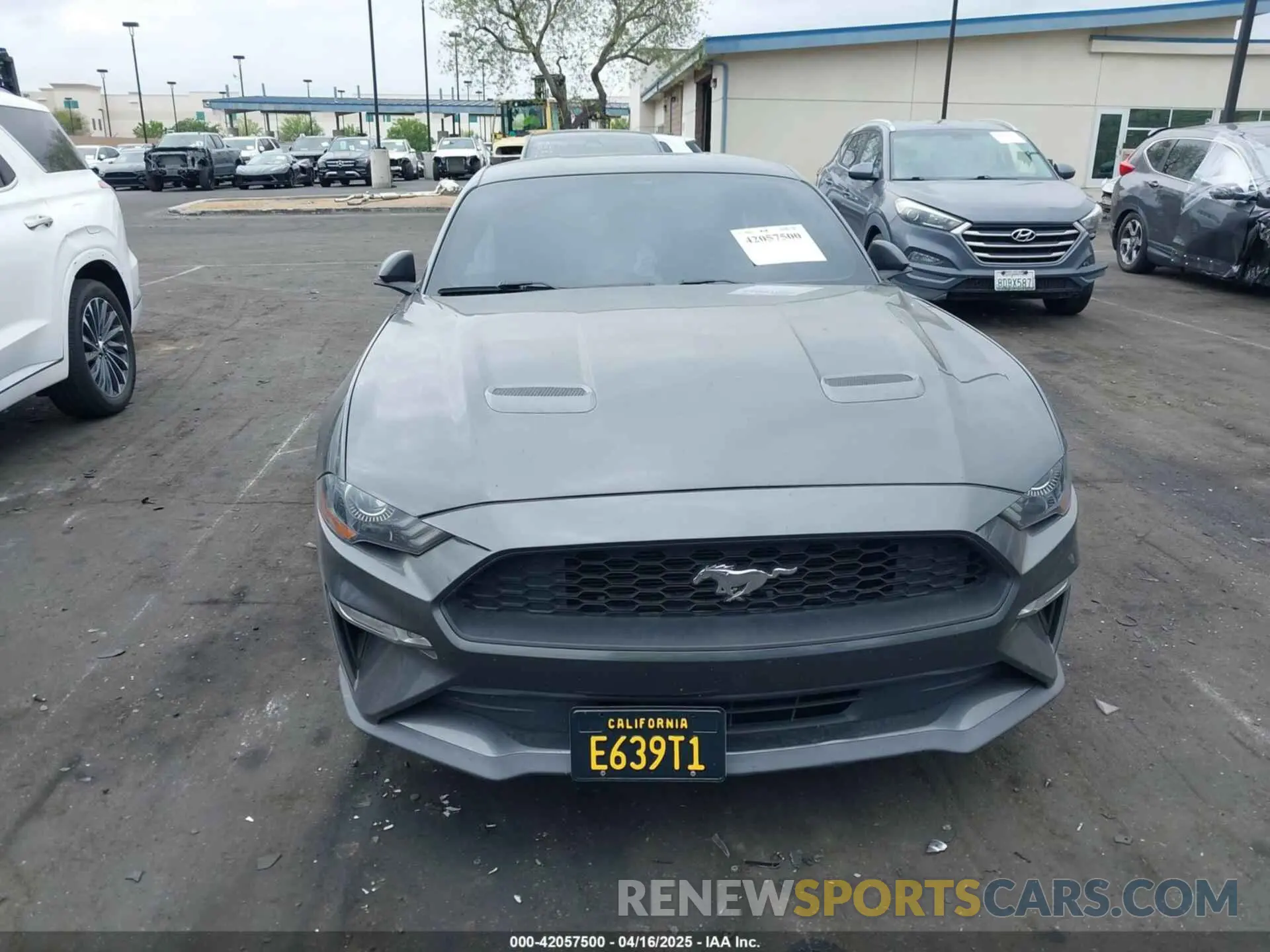 13 Photograph of a damaged car 1FA6P8TH8K5197825 FORD MUSTANG 2019