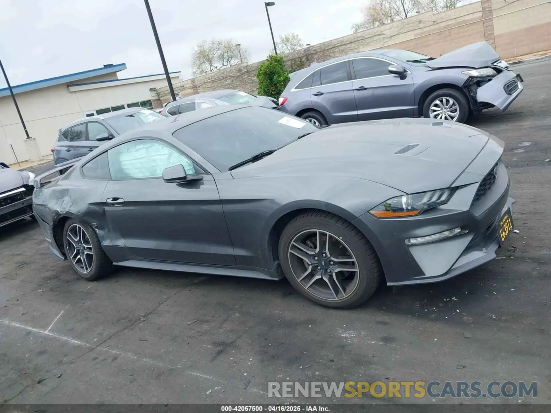 14 Photograph of a damaged car 1FA6P8TH8K5197825 FORD MUSTANG 2019