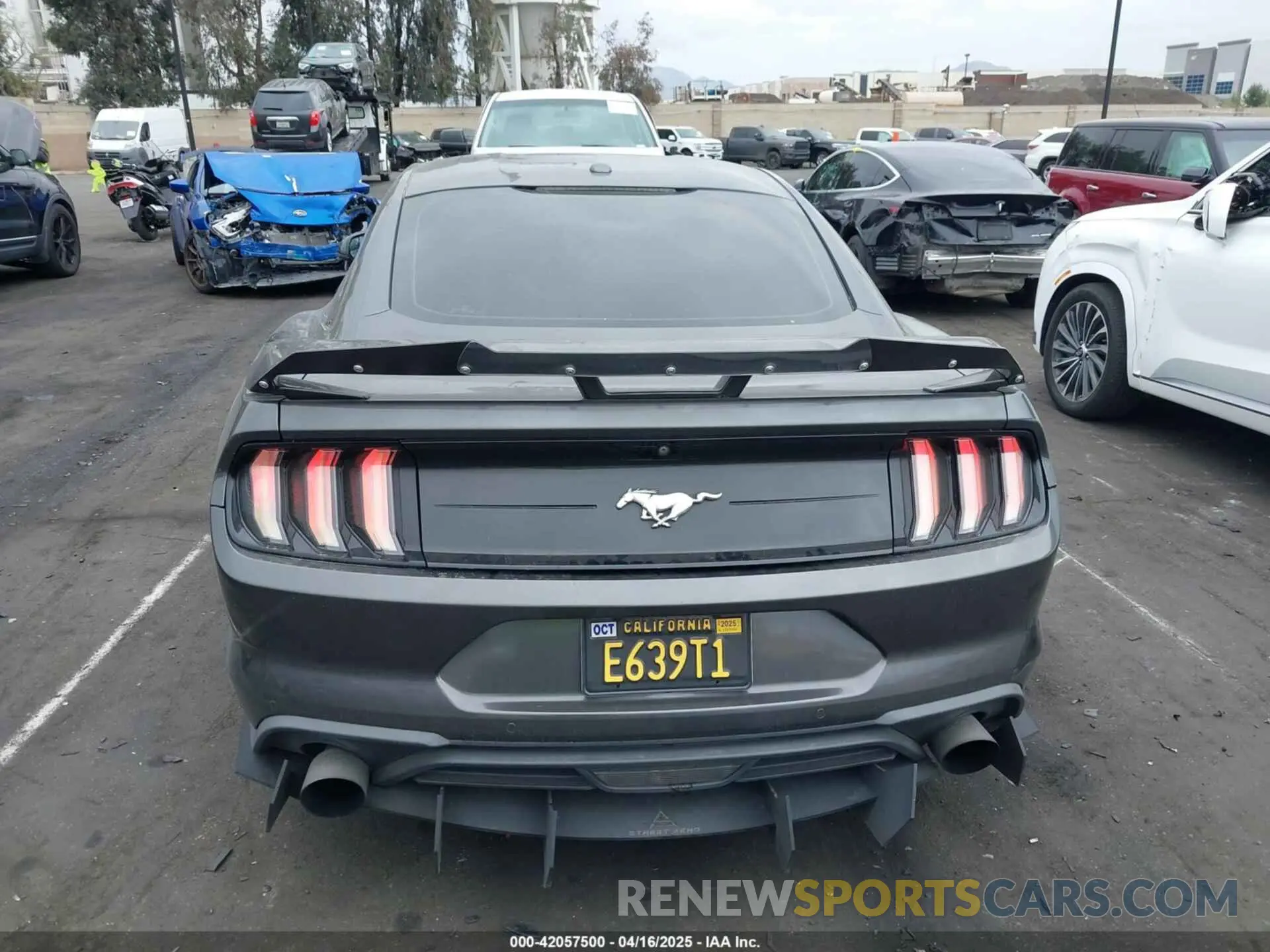 17 Photograph of a damaged car 1FA6P8TH8K5197825 FORD MUSTANG 2019
