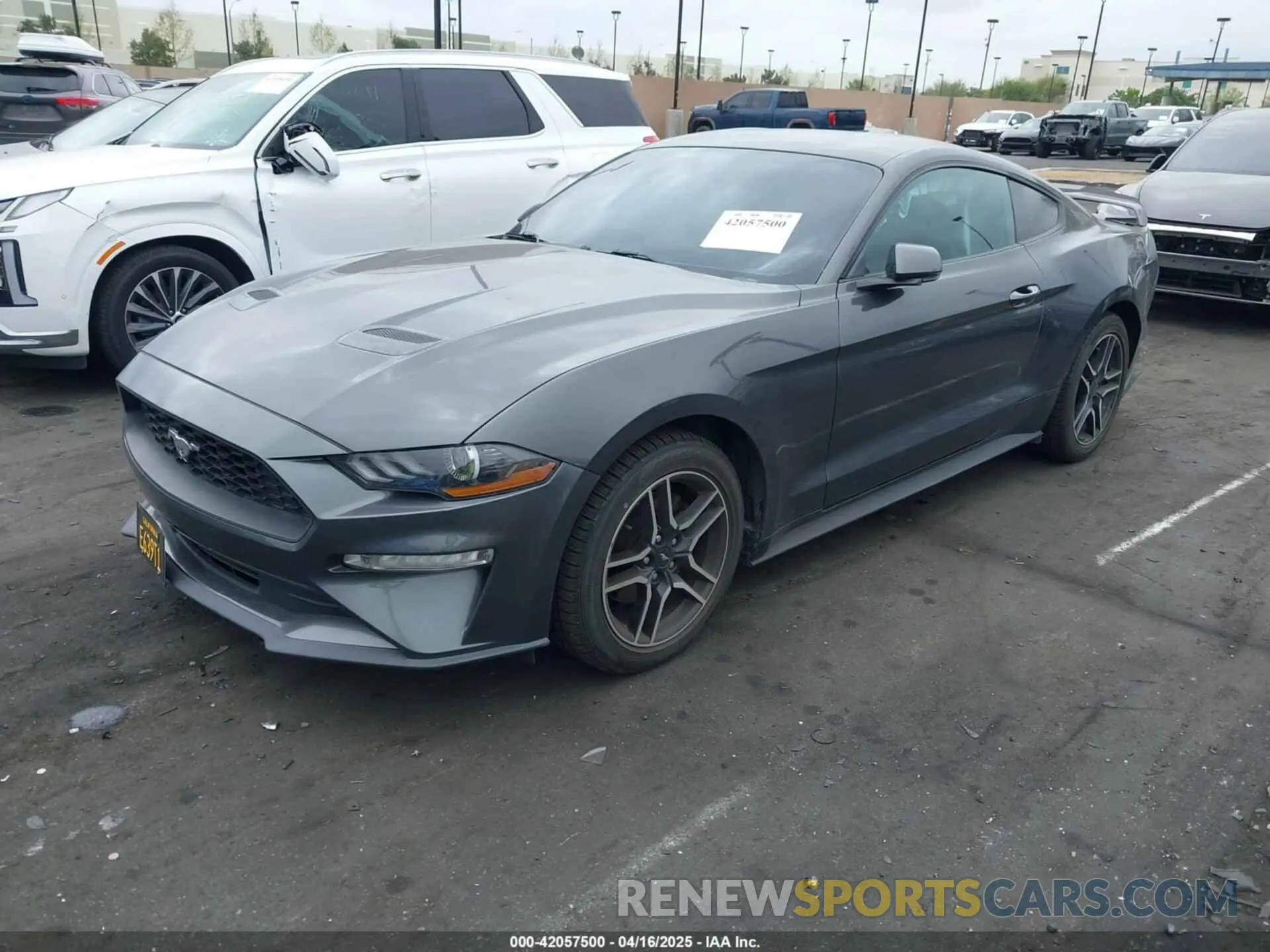 2 Photograph of a damaged car 1FA6P8TH8K5197825 FORD MUSTANG 2019