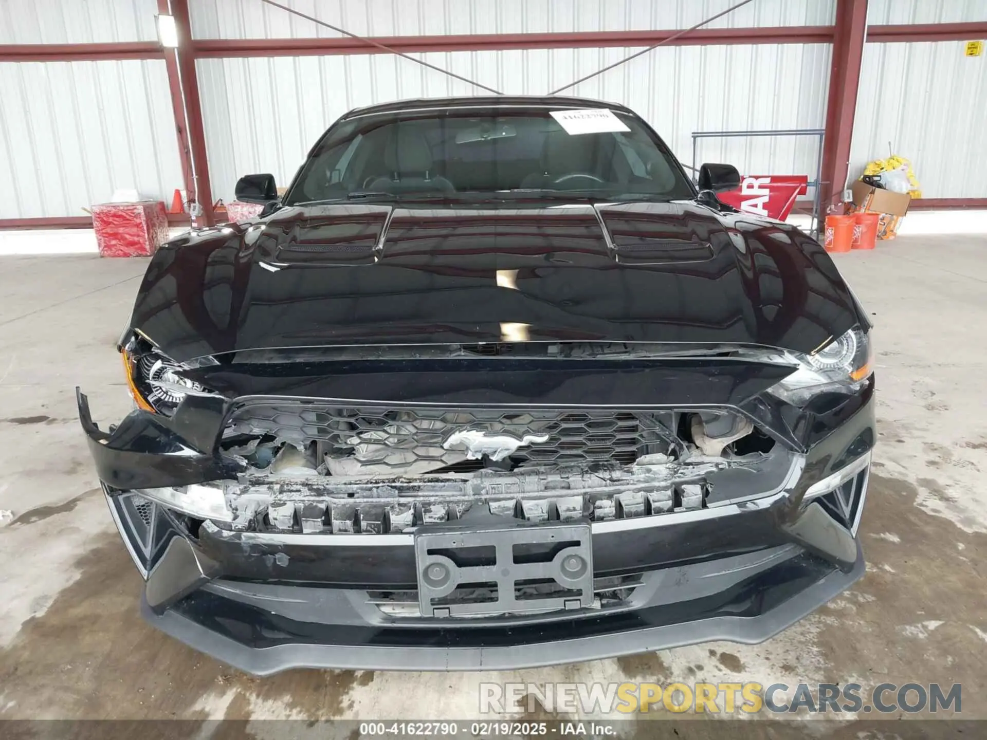 12 Photograph of a damaged car 1FA6P8TH9K5112183 FORD MUSTANG 2019
