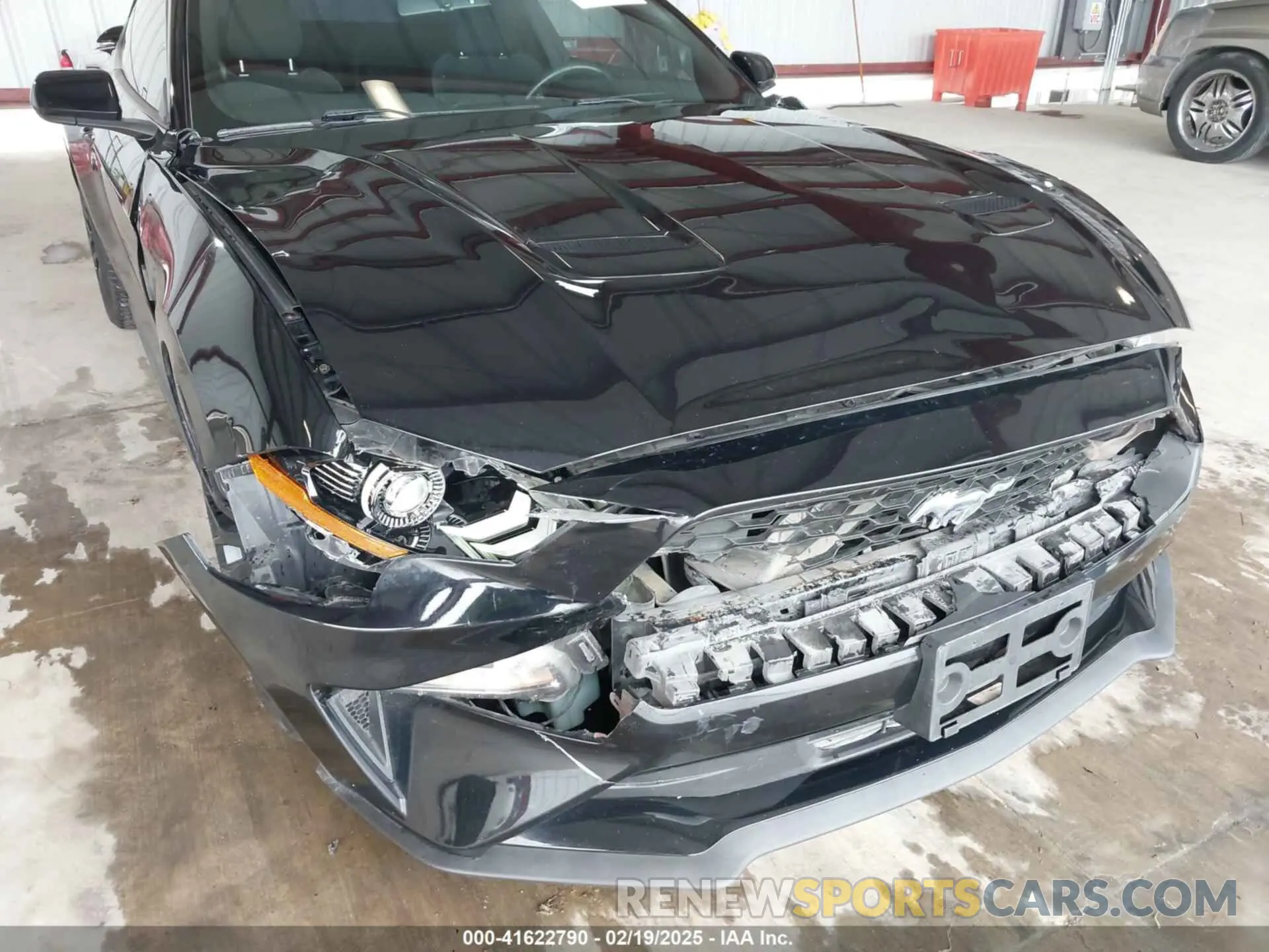 6 Photograph of a damaged car 1FA6P8TH9K5112183 FORD MUSTANG 2019
