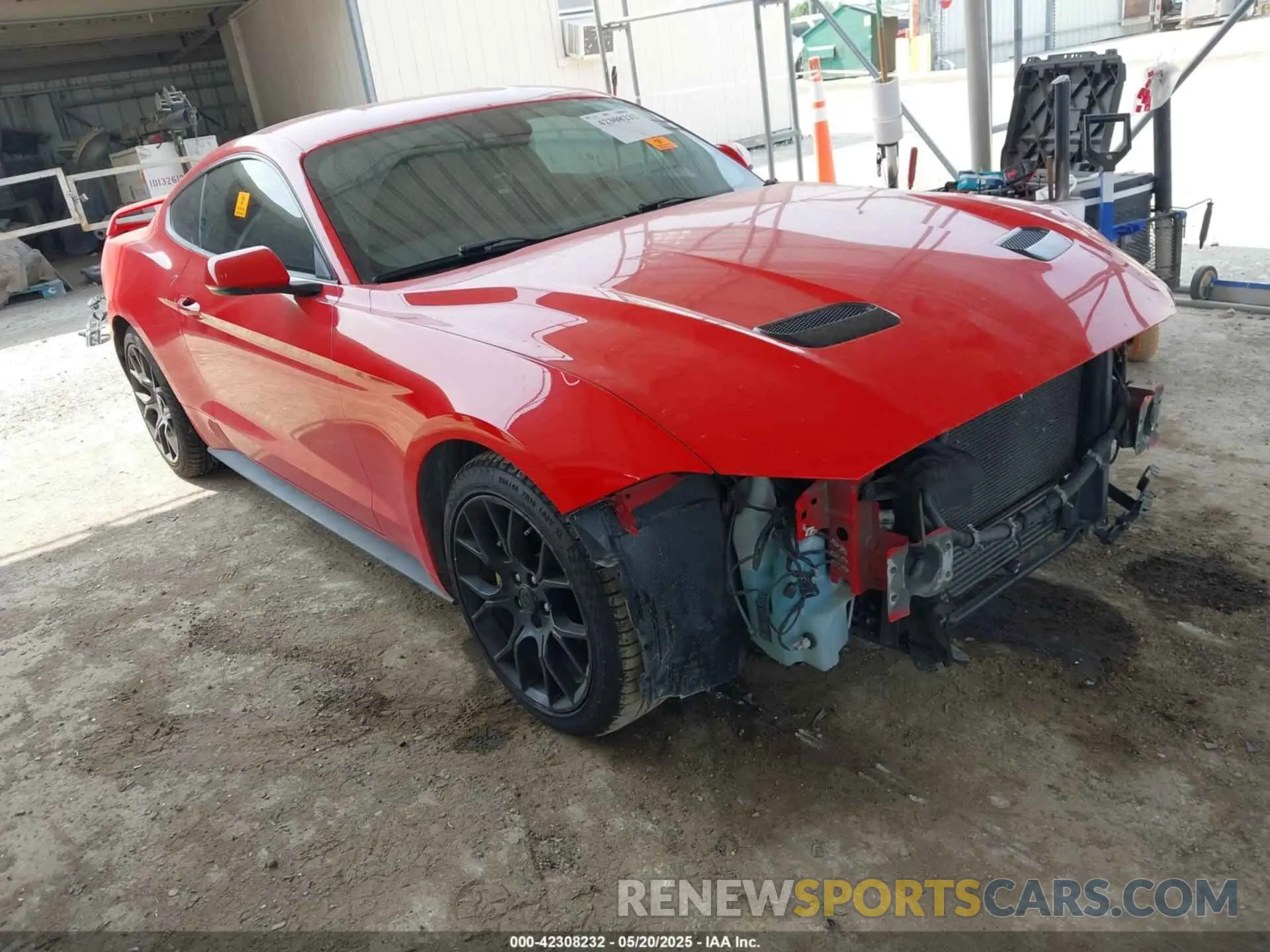 1 Photograph of a damaged car 1FA6P8TH9K5134989 FORD MUSTANG 2019