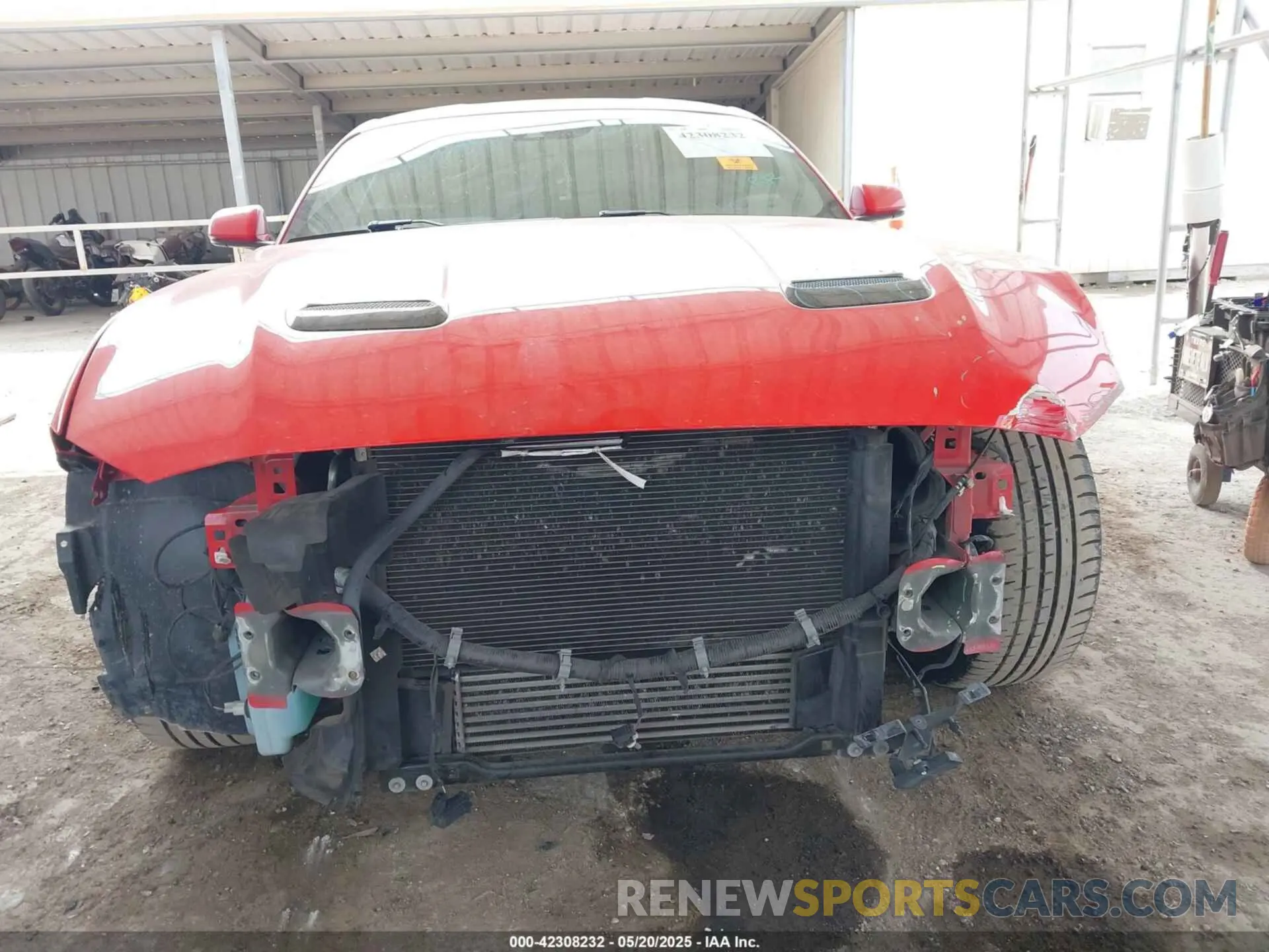 13 Photograph of a damaged car 1FA6P8TH9K5134989 FORD MUSTANG 2019