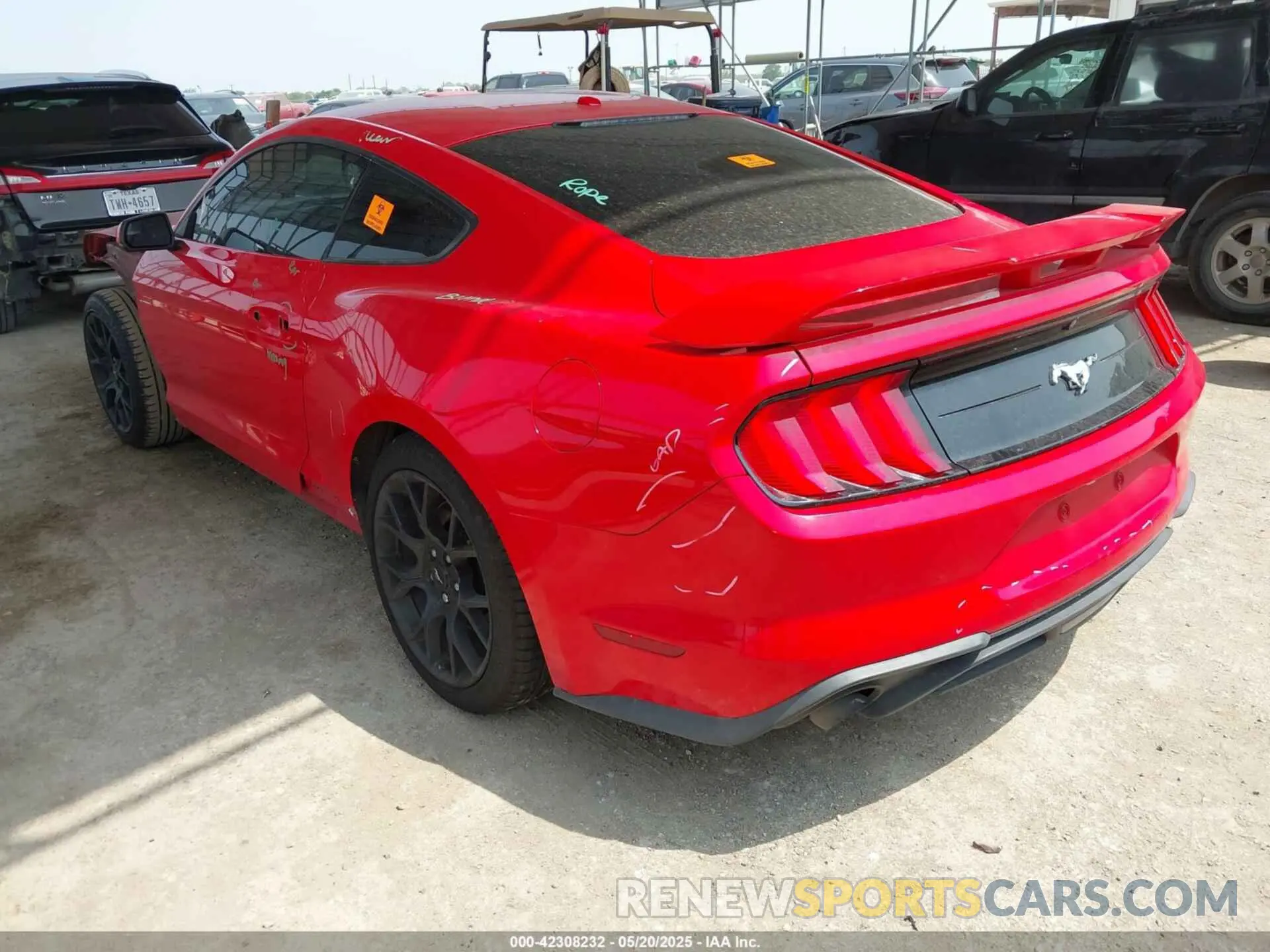 3 Photograph of a damaged car 1FA6P8TH9K5134989 FORD MUSTANG 2019