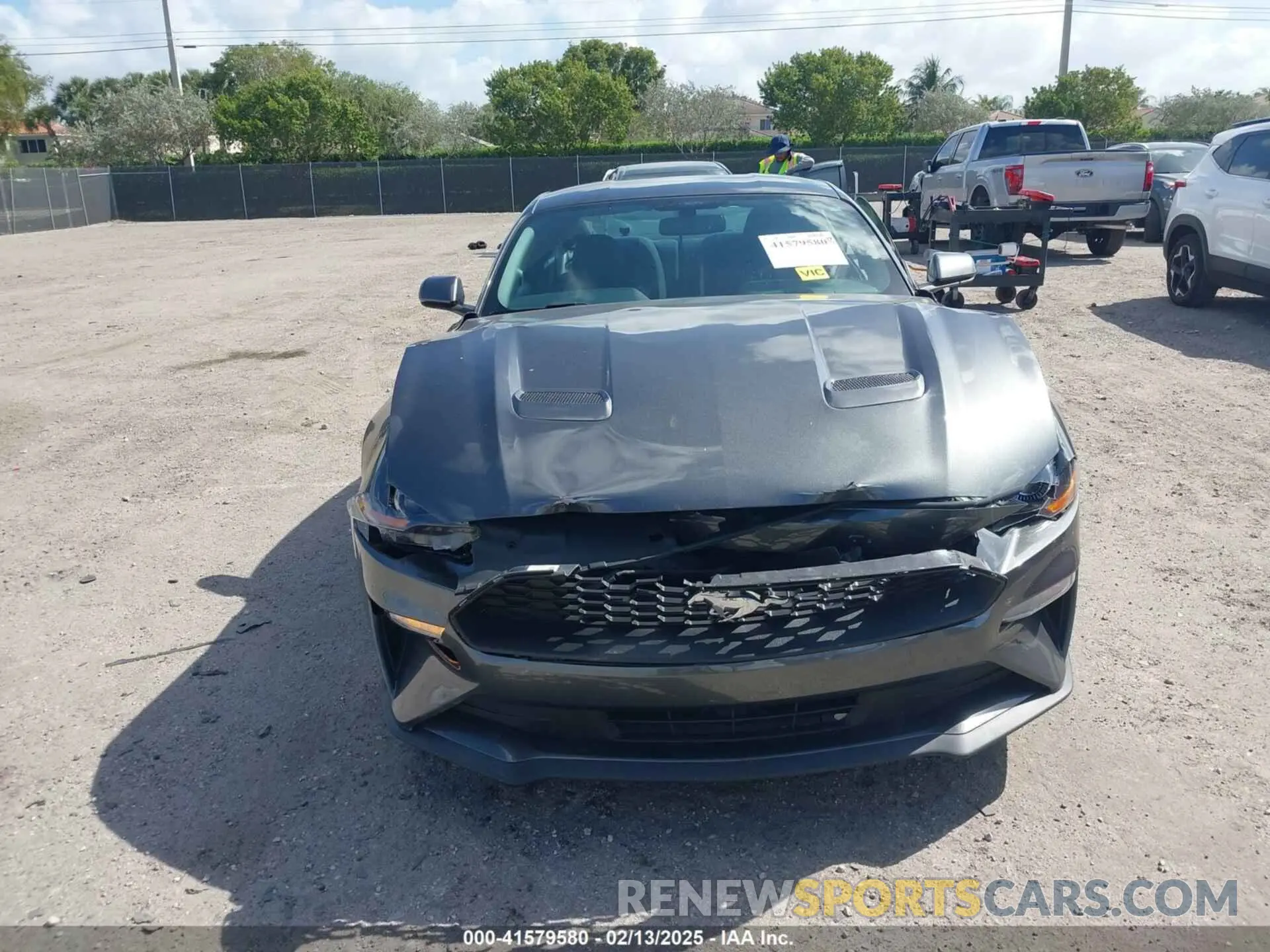 12 Photograph of a damaged car 1FA6P8TH9K5176353 FORD MUSTANG 2019