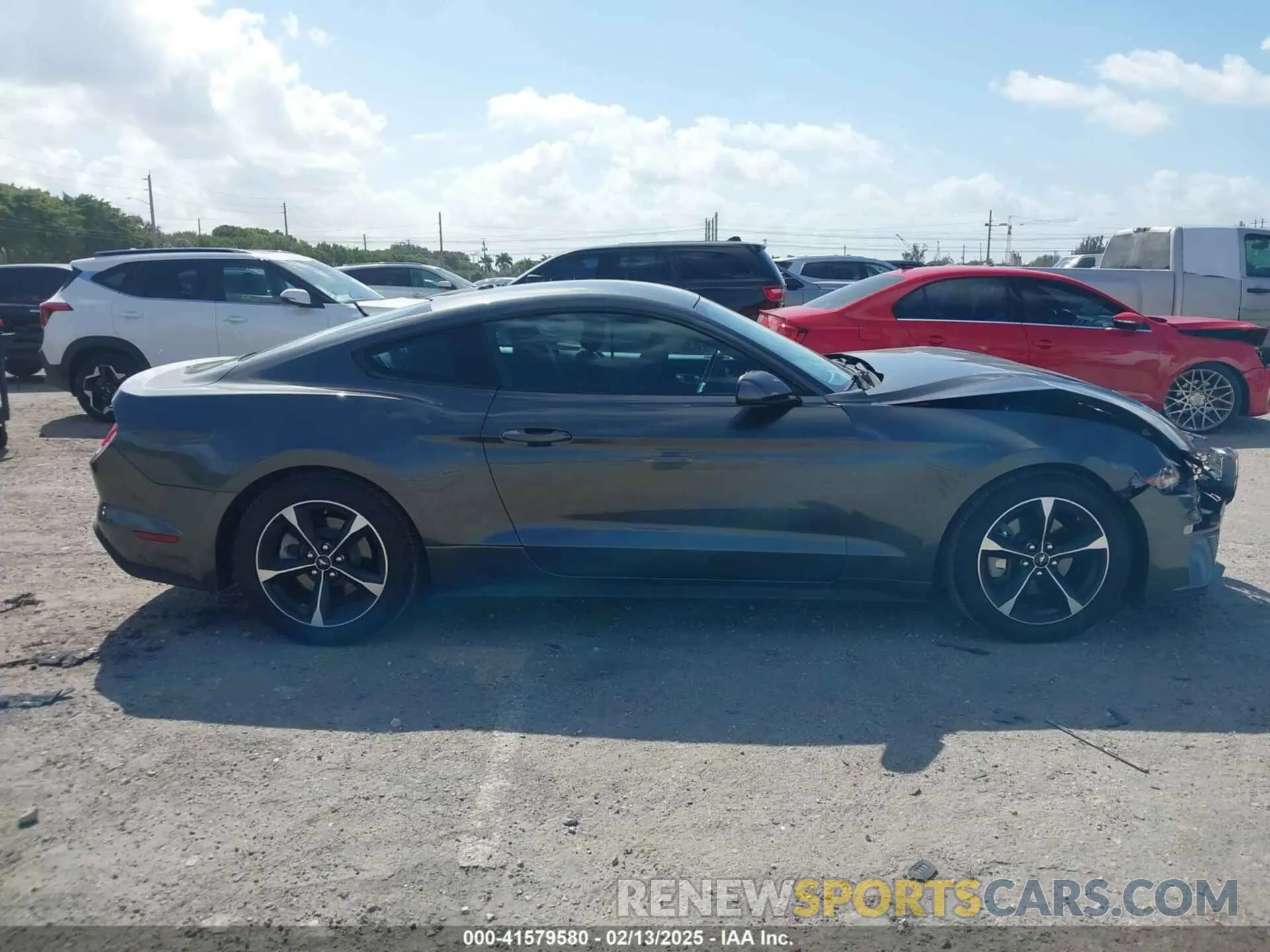 13 Photograph of a damaged car 1FA6P8TH9K5176353 FORD MUSTANG 2019