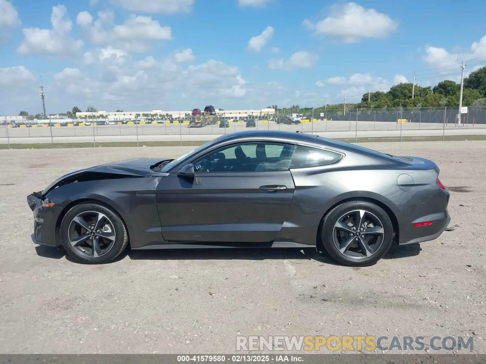 14 Photograph of a damaged car 1FA6P8TH9K5176353 FORD MUSTANG 2019