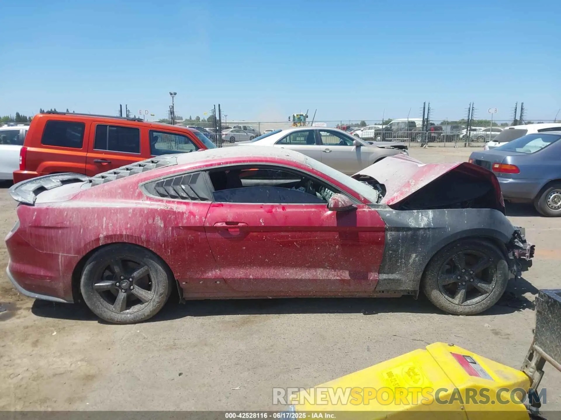 14 Photograph of a damaged car 1FA6P8THXK5118705 FORD MUSTANG 2019
