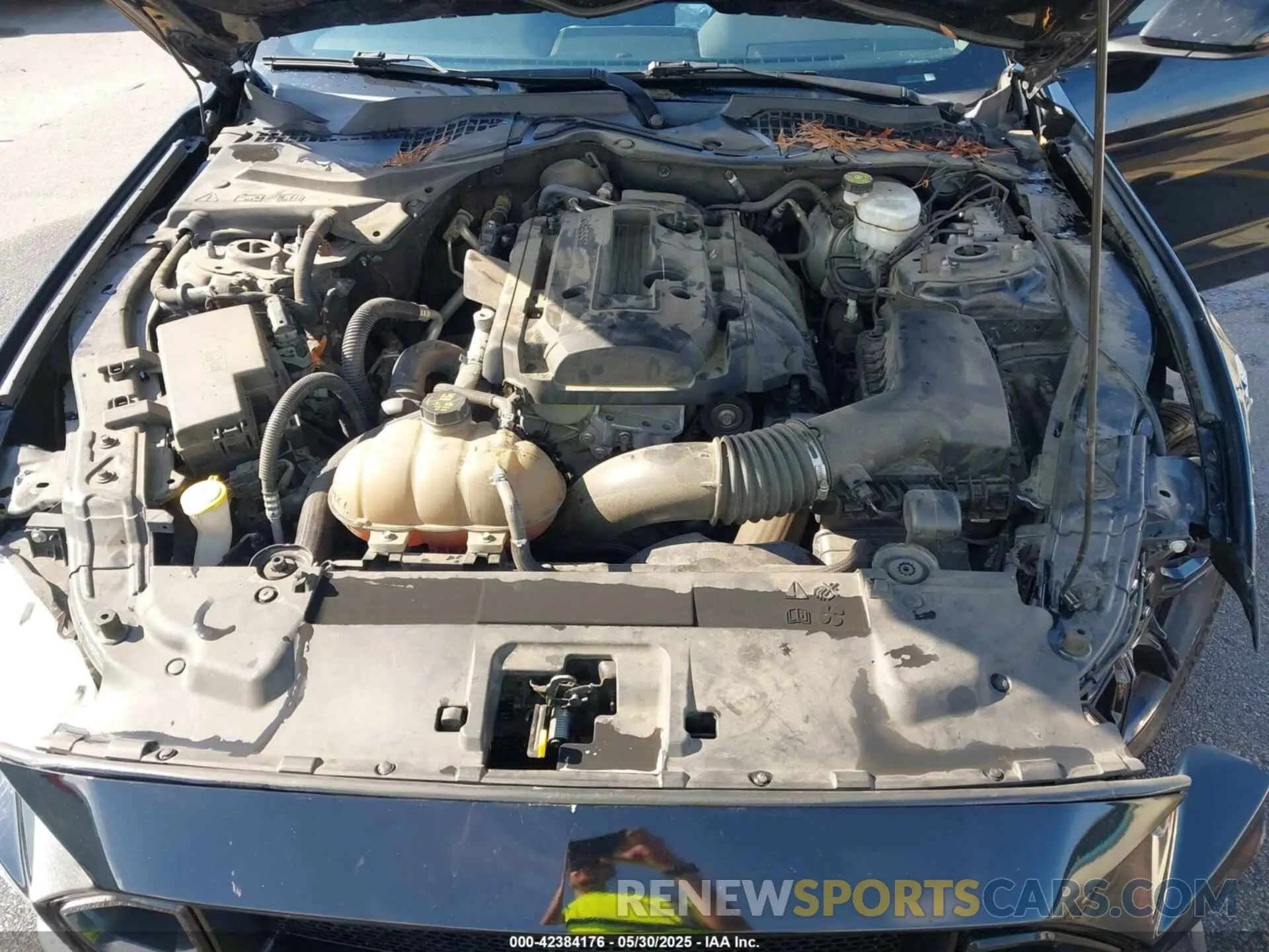 10 Photograph of a damaged car 1FA6P8THXK5124729 FORD MUSTANG 2019