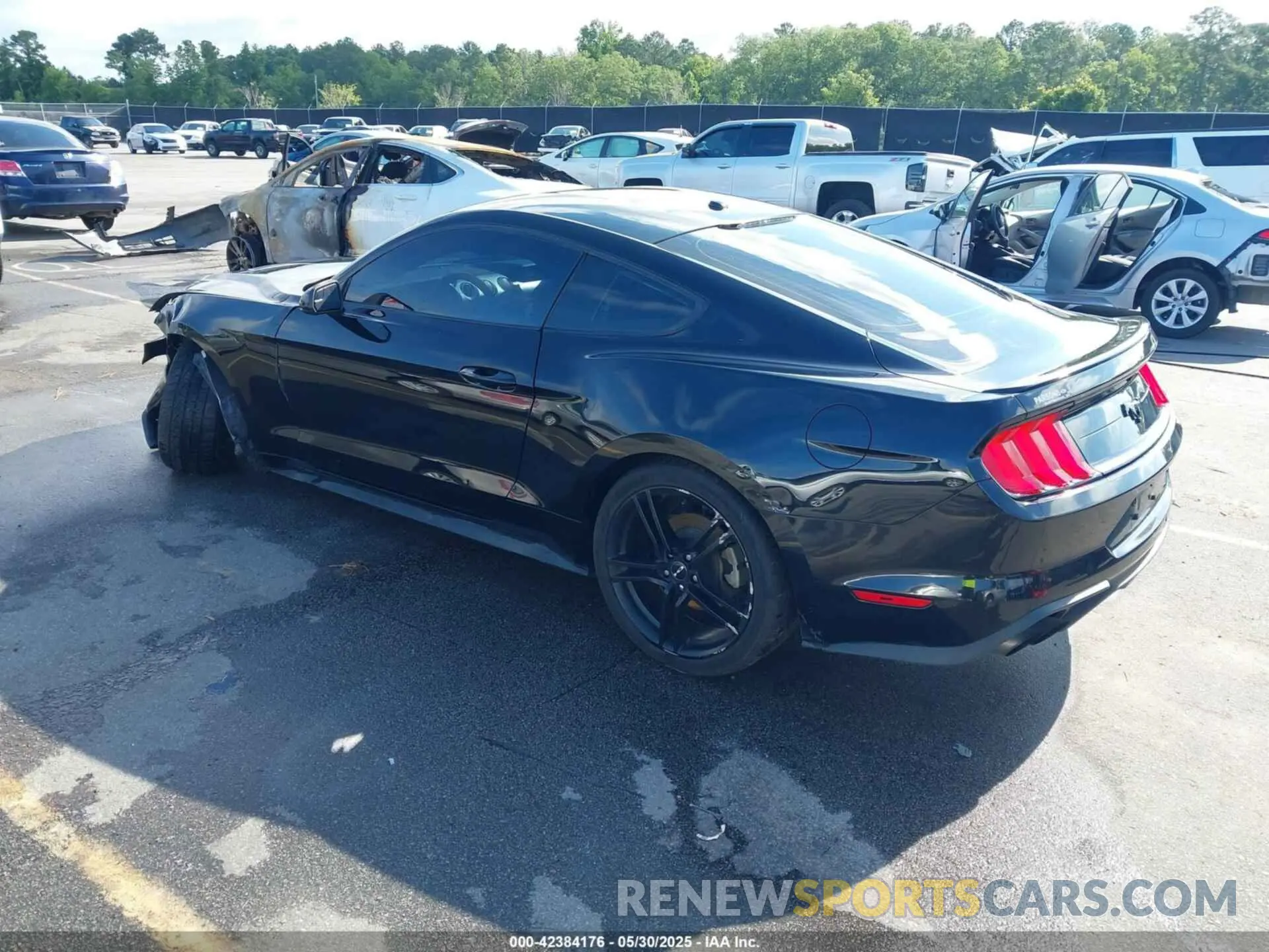 3 Photograph of a damaged car 1FA6P8THXK5124729 FORD MUSTANG 2019