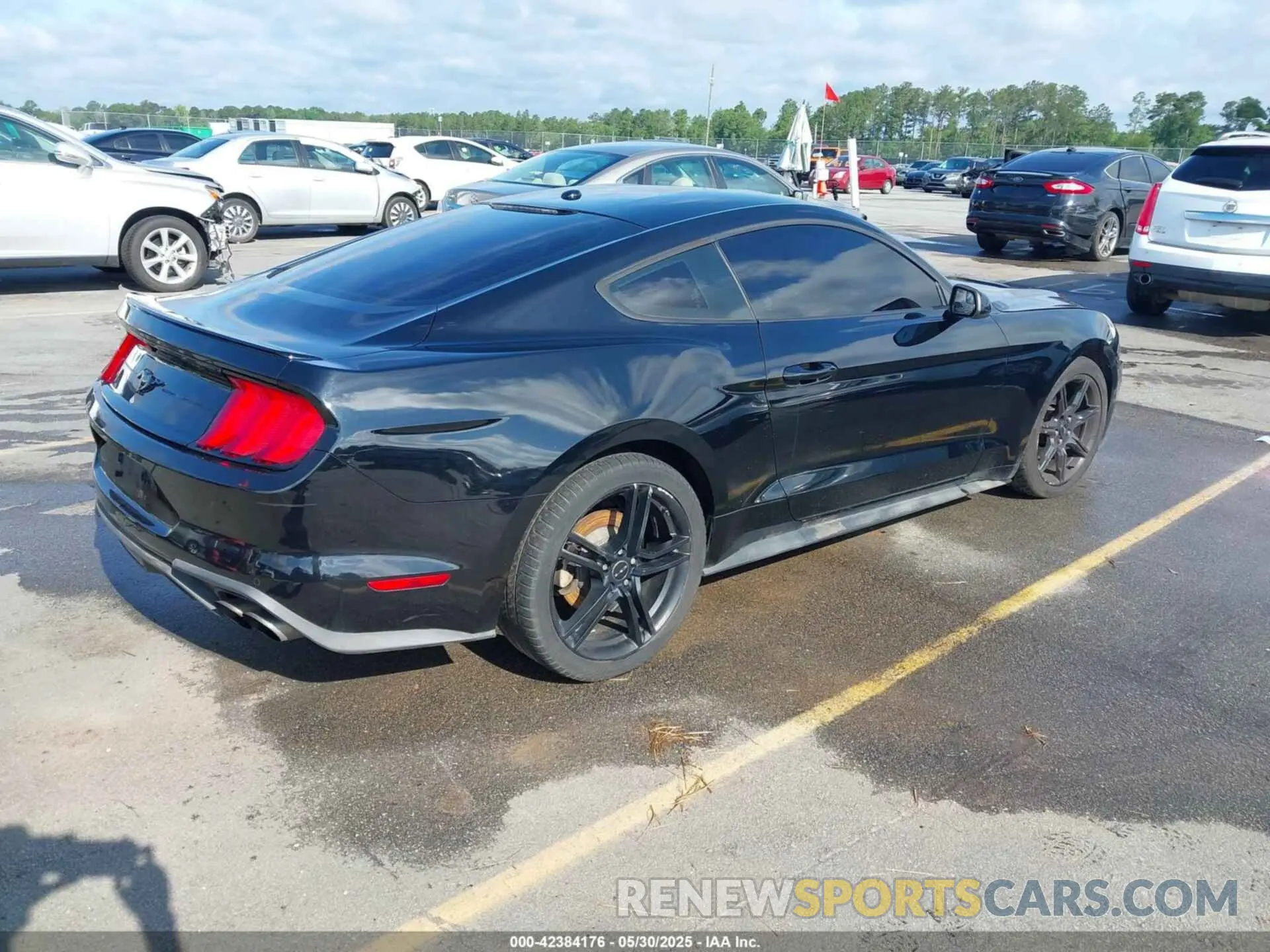 4 Photograph of a damaged car 1FA6P8THXK5124729 FORD MUSTANG 2019