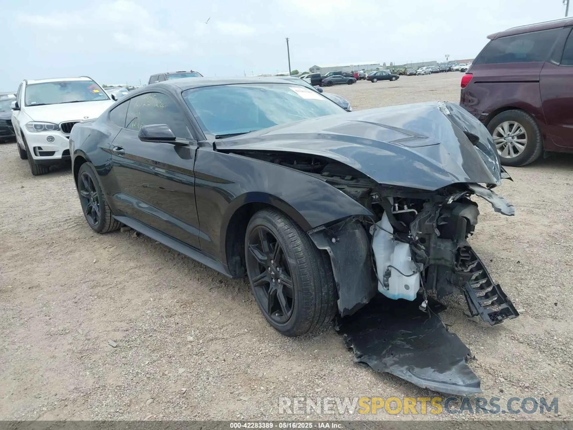 1 Photograph of a damaged car 1FA6P8THXK5125833 FORD MUSTANG 2019