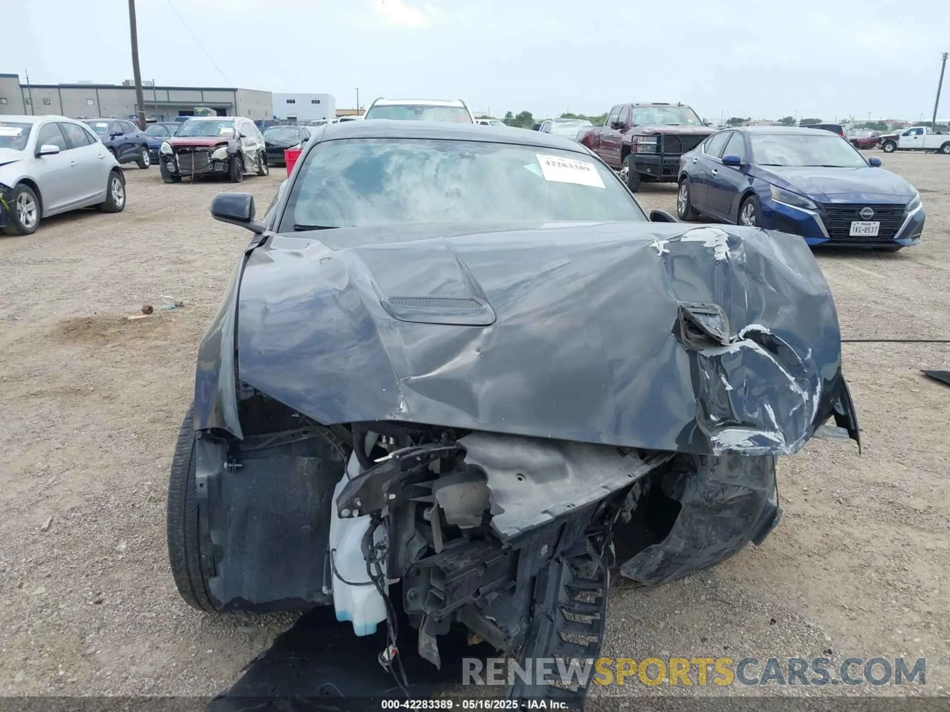 12 Photograph of a damaged car 1FA6P8THXK5125833 FORD MUSTANG 2019