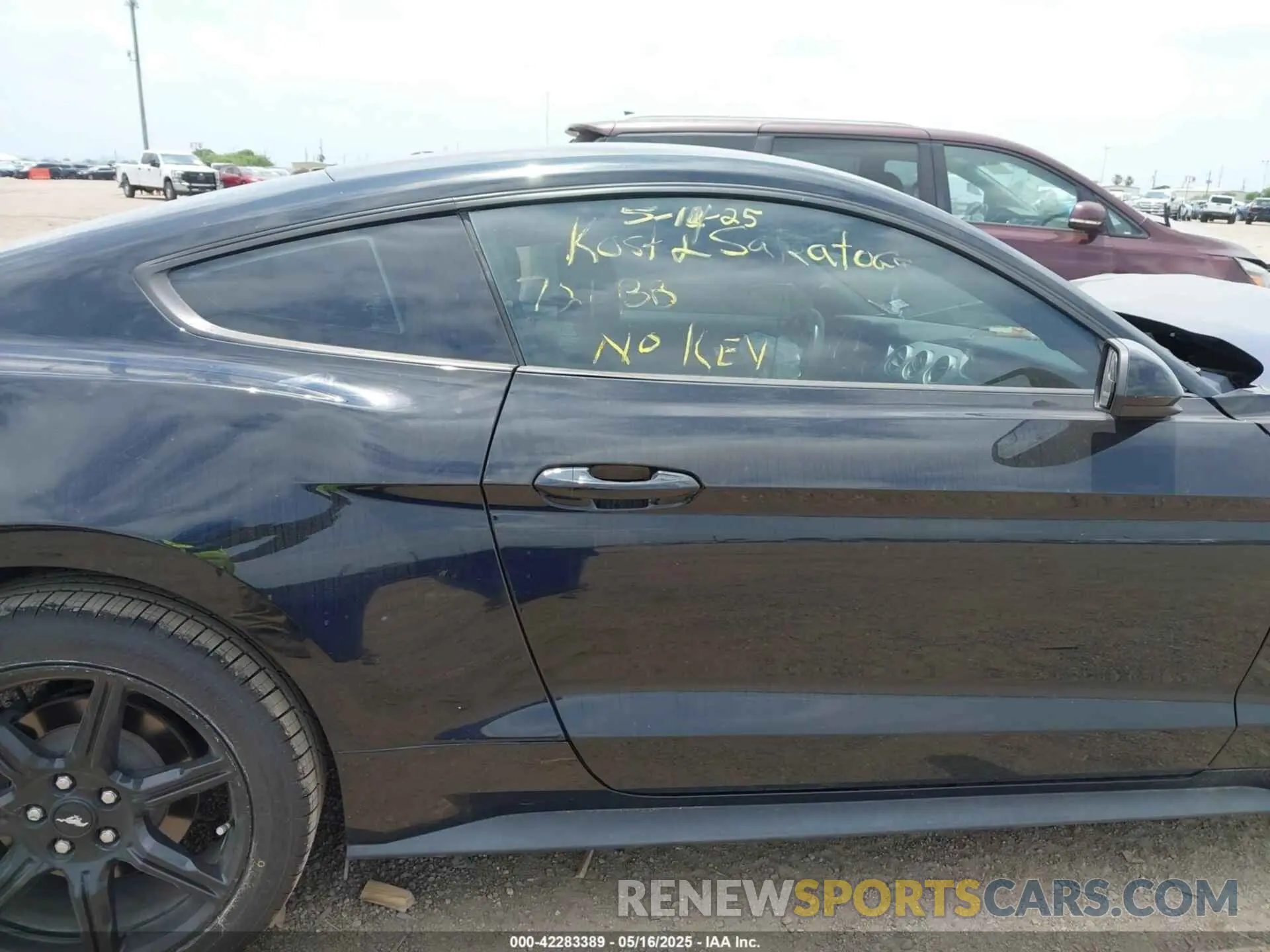 13 Photograph of a damaged car 1FA6P8THXK5125833 FORD MUSTANG 2019