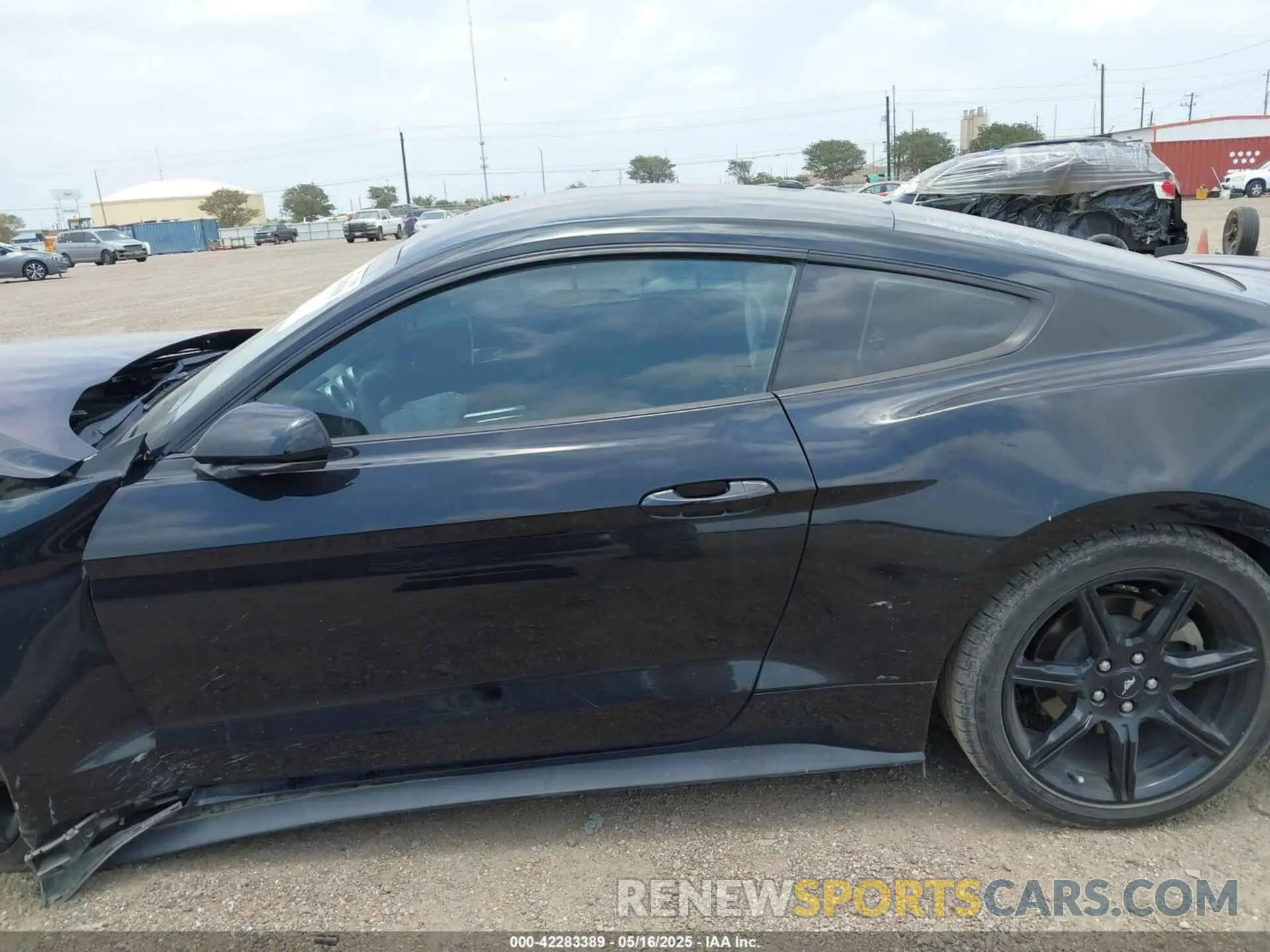 14 Photograph of a damaged car 1FA6P8THXK5125833 FORD MUSTANG 2019