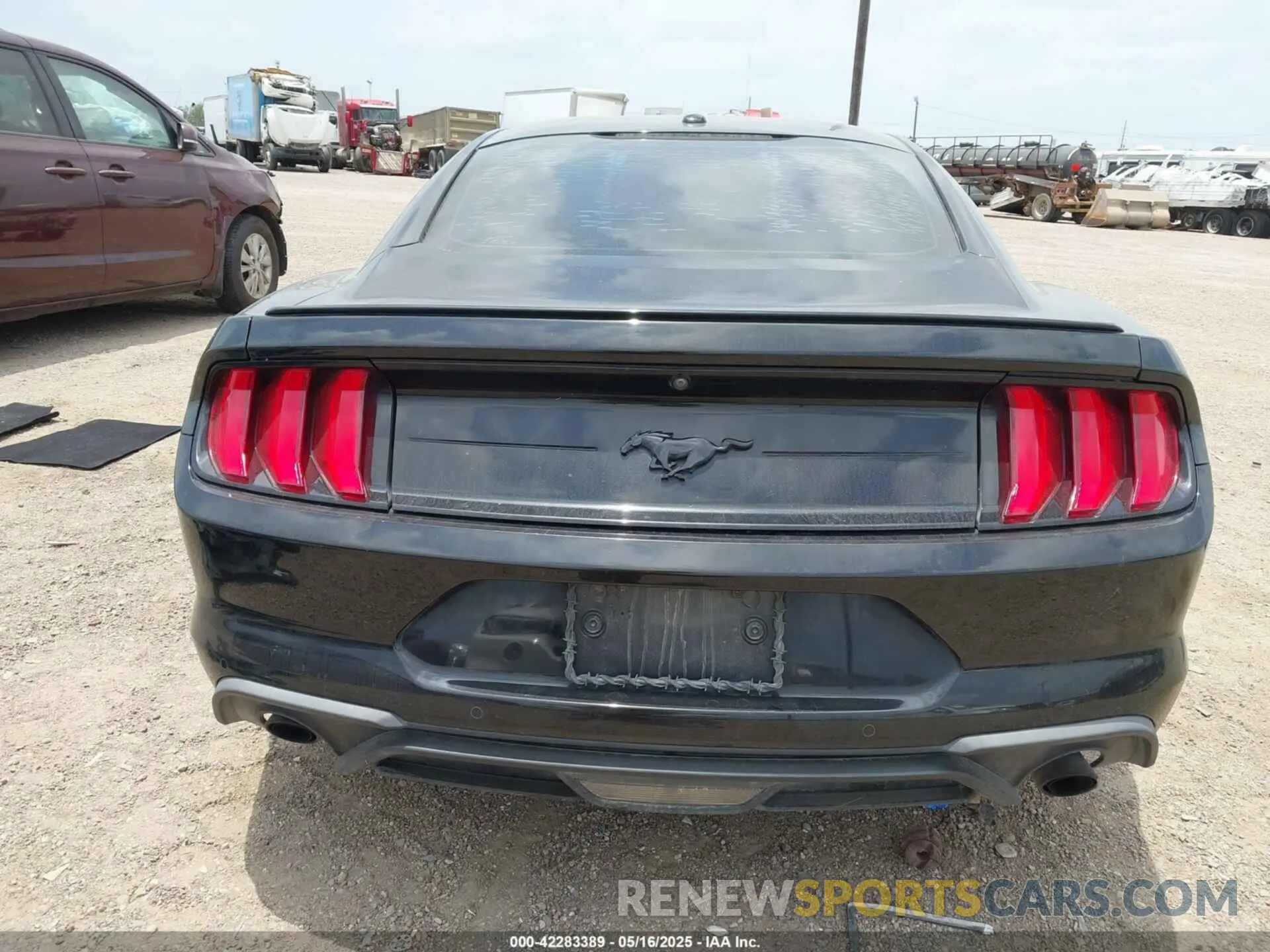 16 Photograph of a damaged car 1FA6P8THXK5125833 FORD MUSTANG 2019