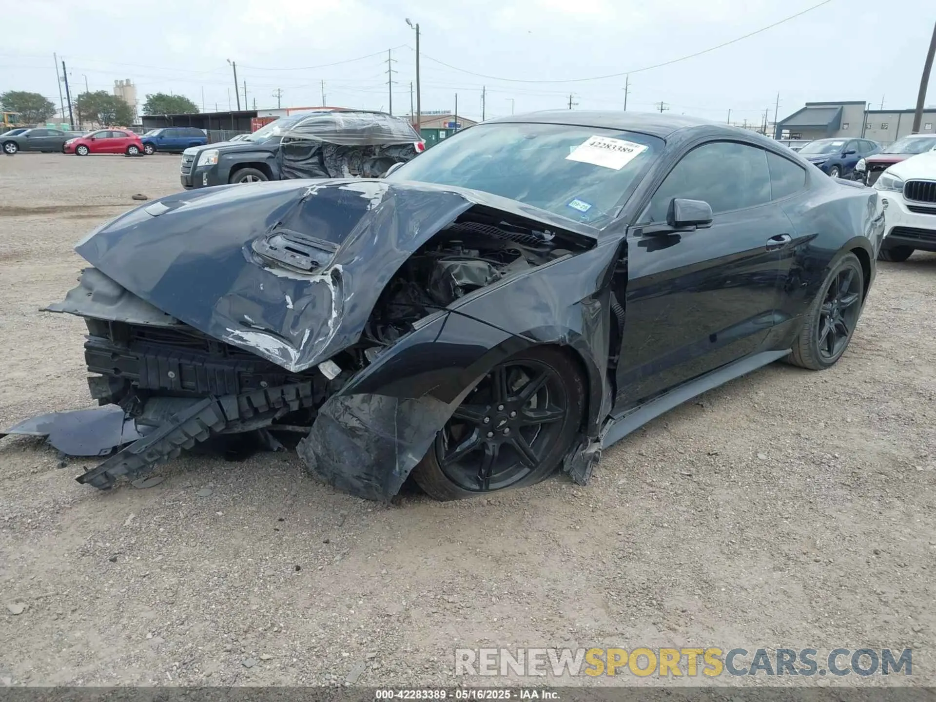 2 Photograph of a damaged car 1FA6P8THXK5125833 FORD MUSTANG 2019