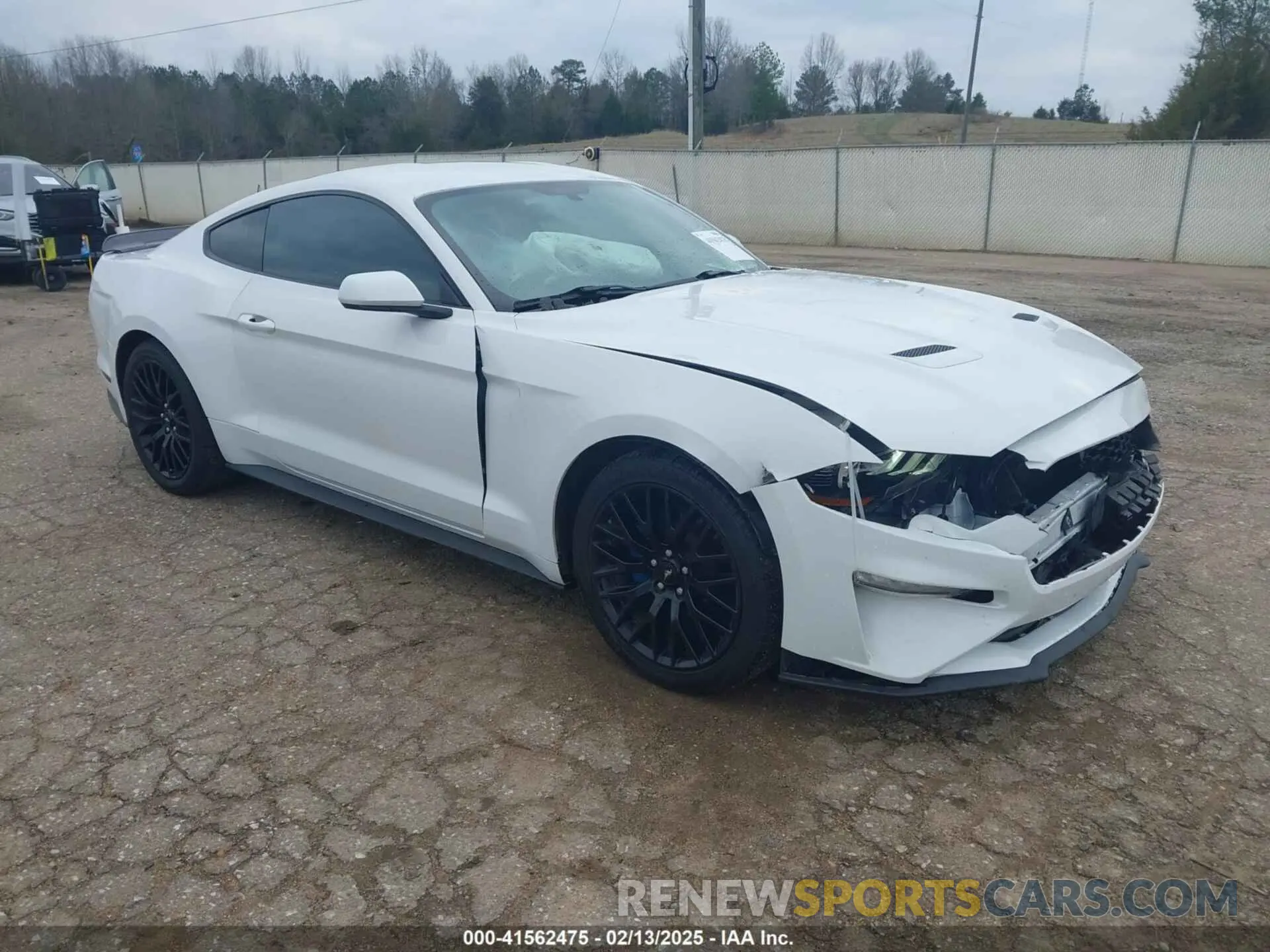 1 Photograph of a damaged car 1FA6P8THXK5163210 FORD MUSTANG 2019