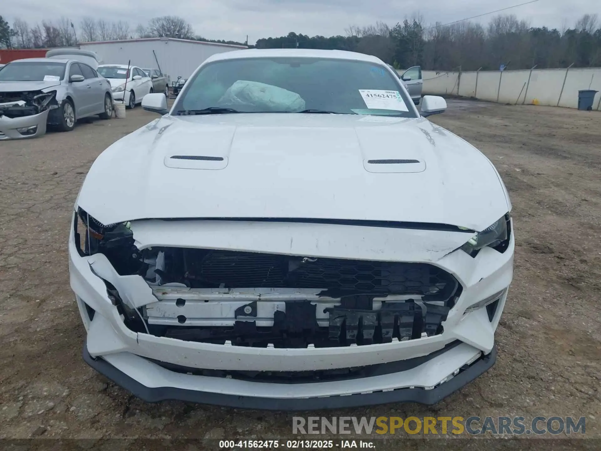 12 Photograph of a damaged car 1FA6P8THXK5163210 FORD MUSTANG 2019