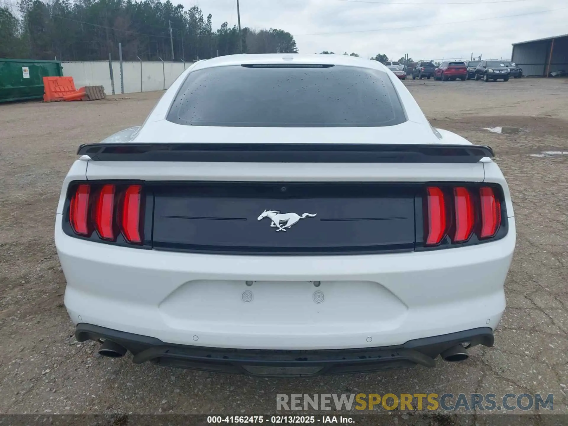 16 Photograph of a damaged car 1FA6P8THXK5163210 FORD MUSTANG 2019