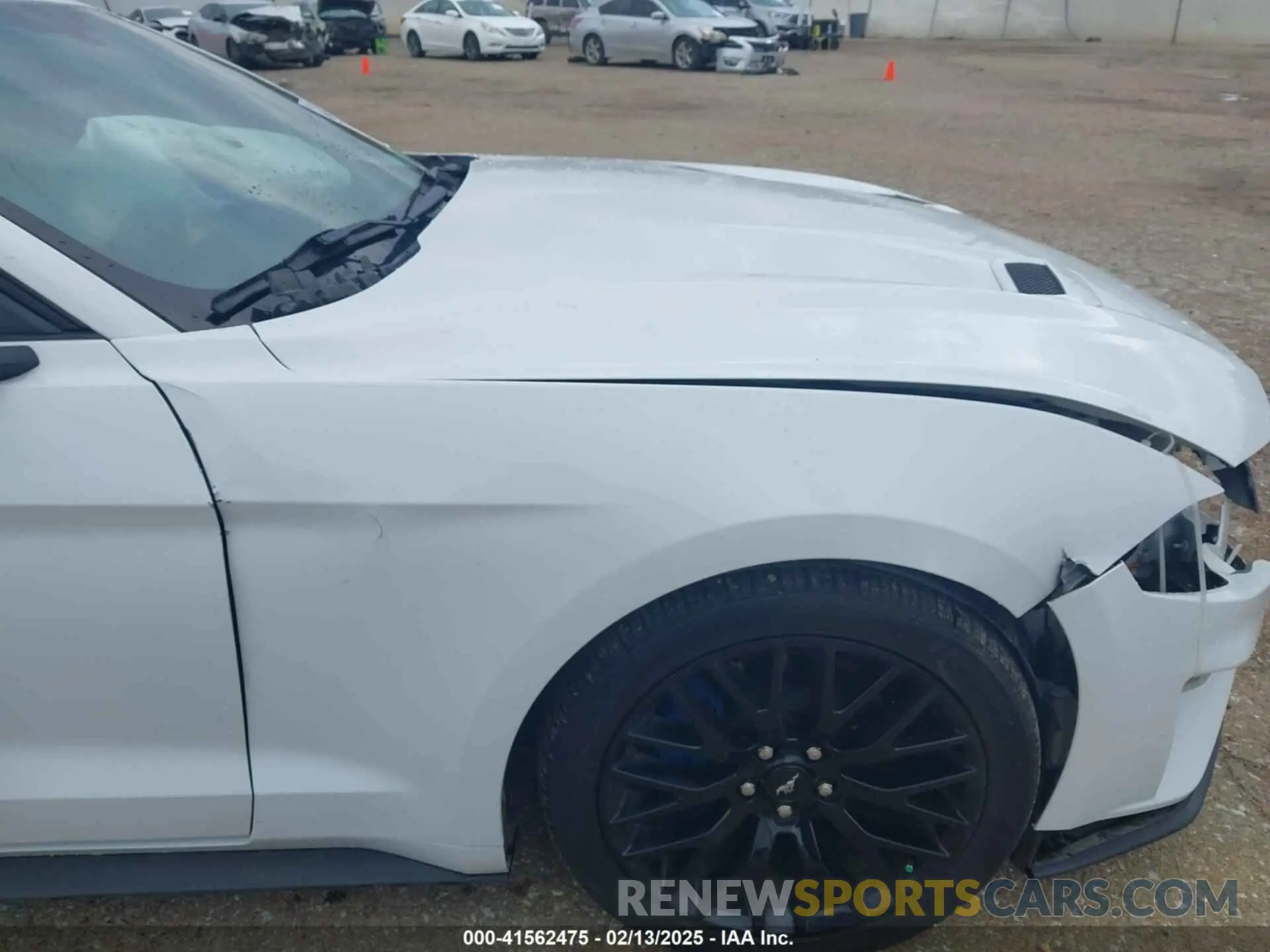 17 Photograph of a damaged car 1FA6P8THXK5163210 FORD MUSTANG 2019