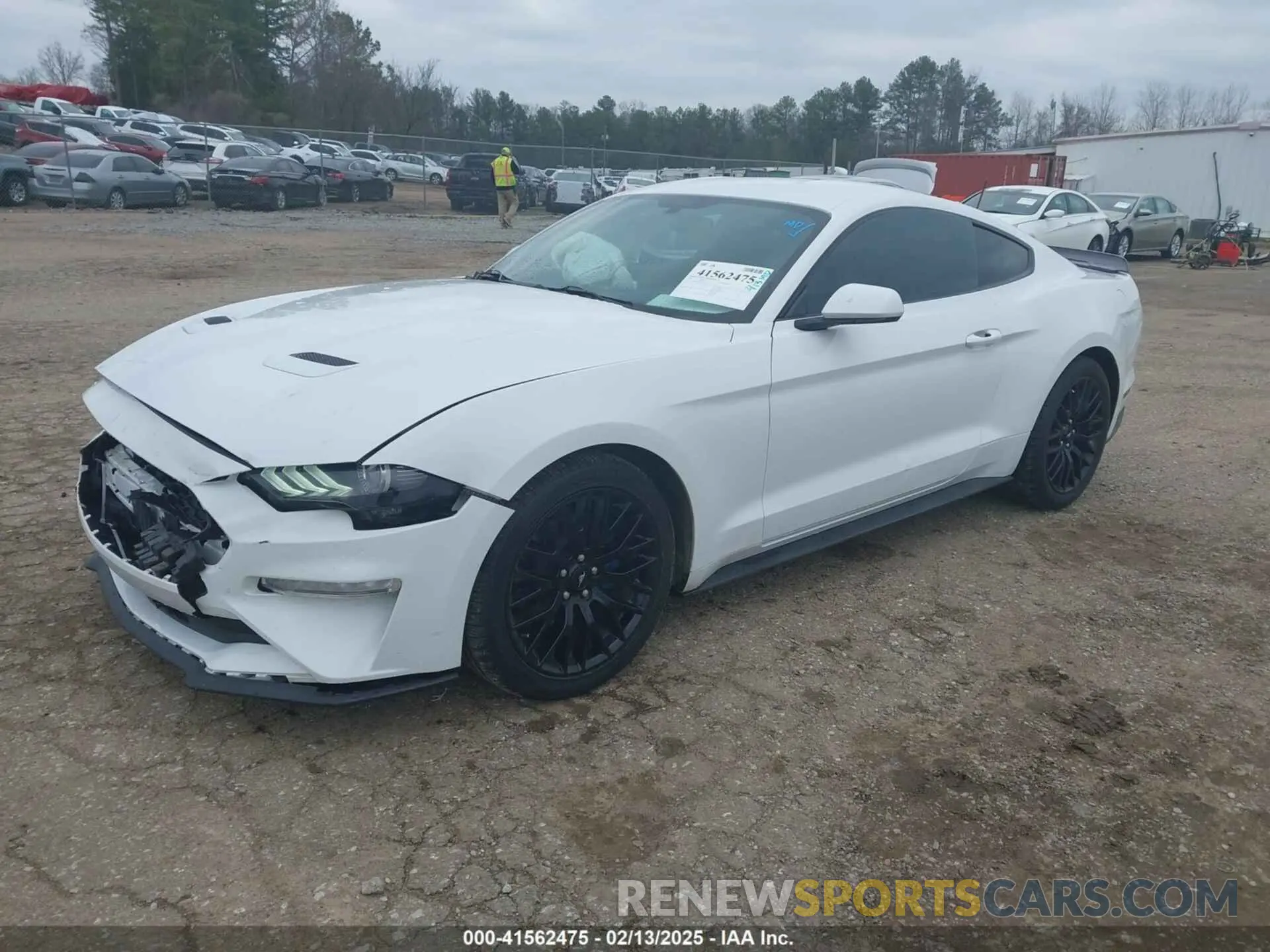 2 Photograph of a damaged car 1FA6P8THXK5163210 FORD MUSTANG 2019