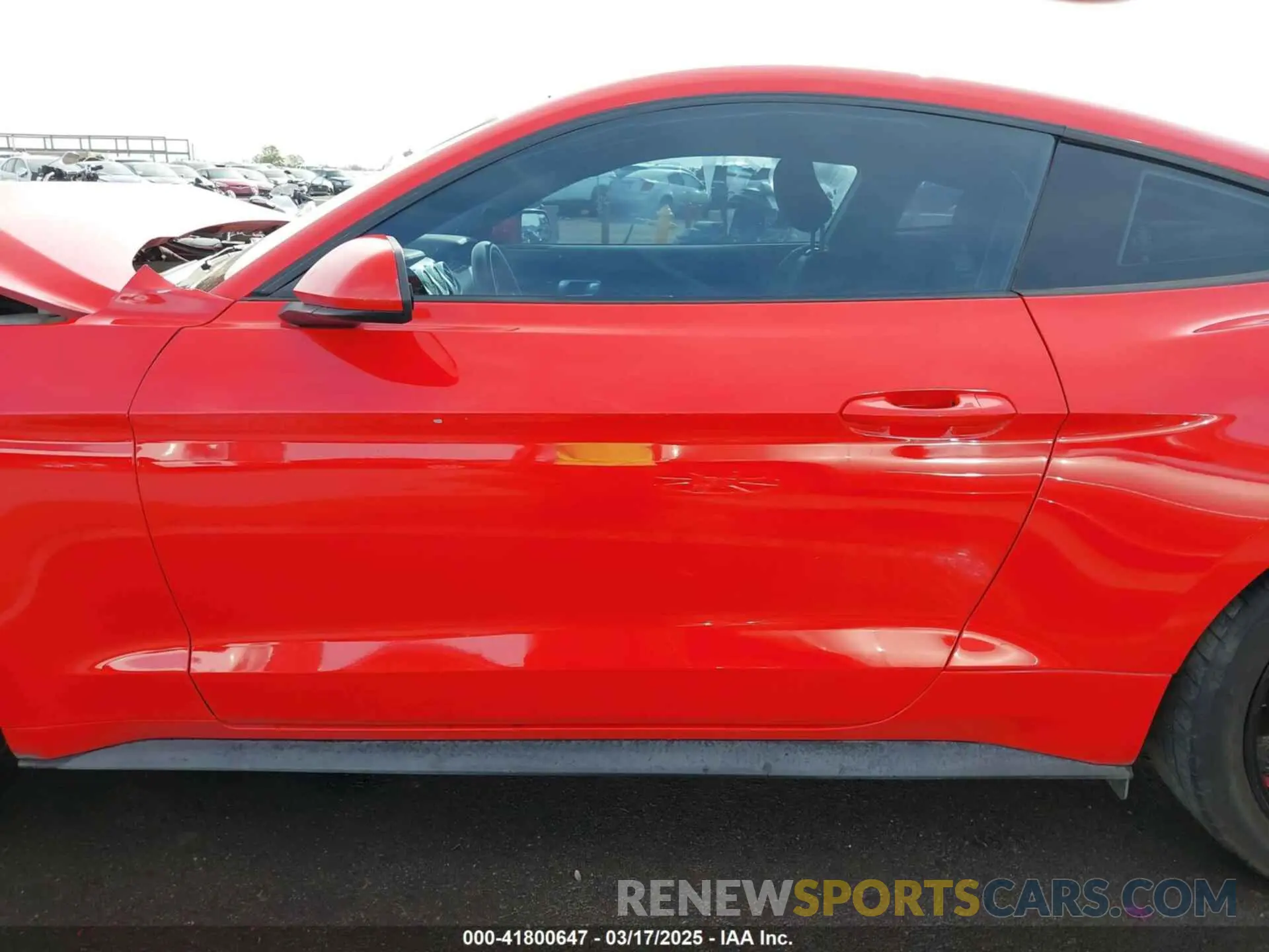 14 Photograph of a damaged car 1FA6P8THXK5196692 FORD MUSTANG 2019