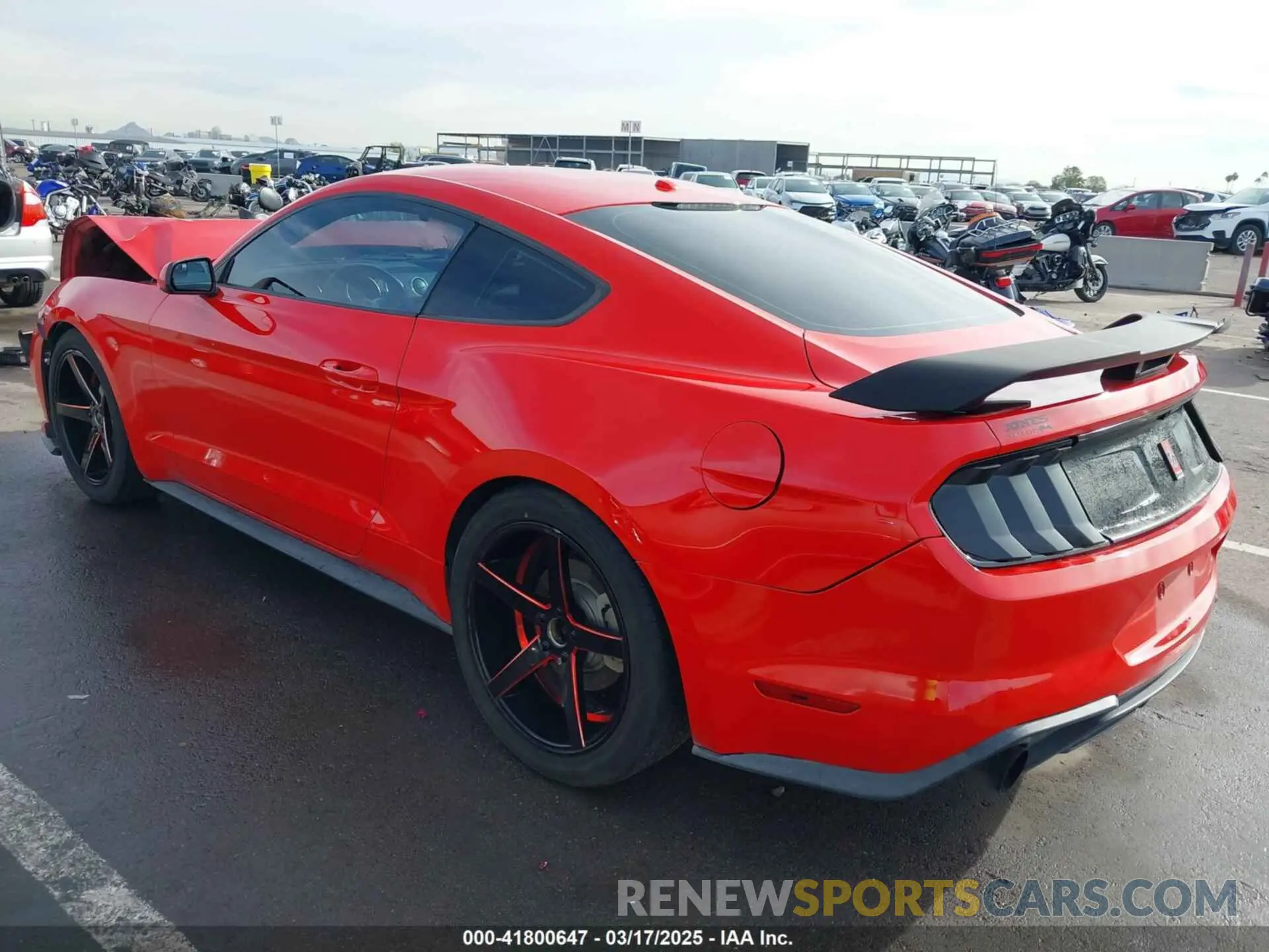 3 Photograph of a damaged car 1FA6P8THXK5196692 FORD MUSTANG 2019