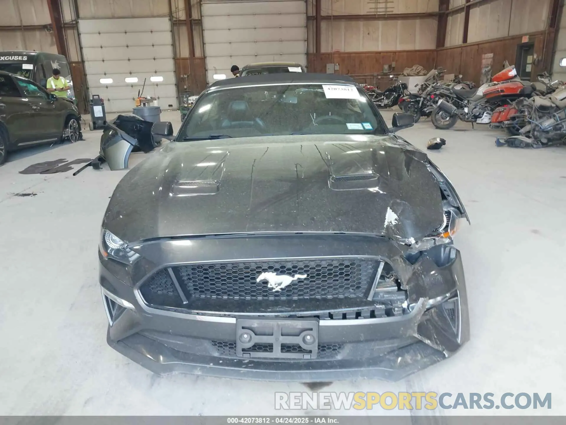 12 Photograph of a damaged car 1FATP8FF4K5171686 FORD MUSTANG 2019