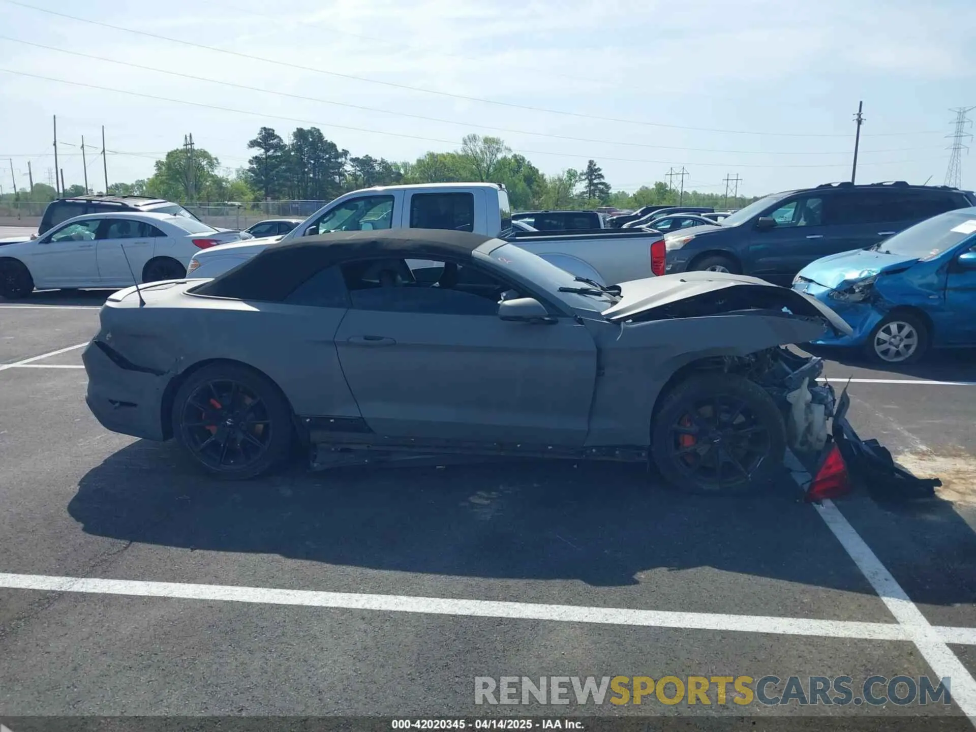 12 Photograph of a damaged car 1FATP8FF5K5182163 FORD MUSTANG 2019