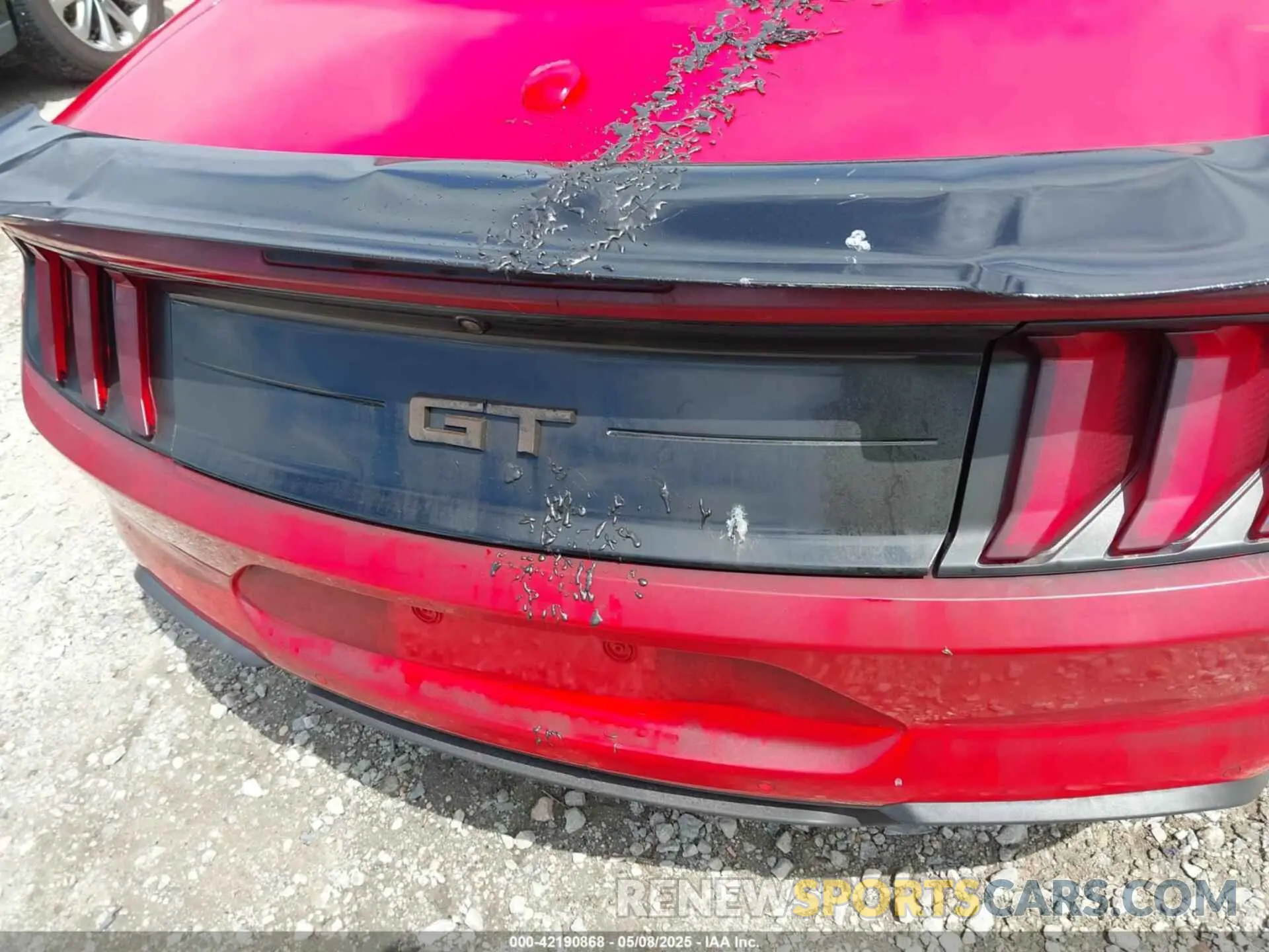12 Photograph of a damaged car 1FATP8FF7K5204955 FORD MUSTANG 2019