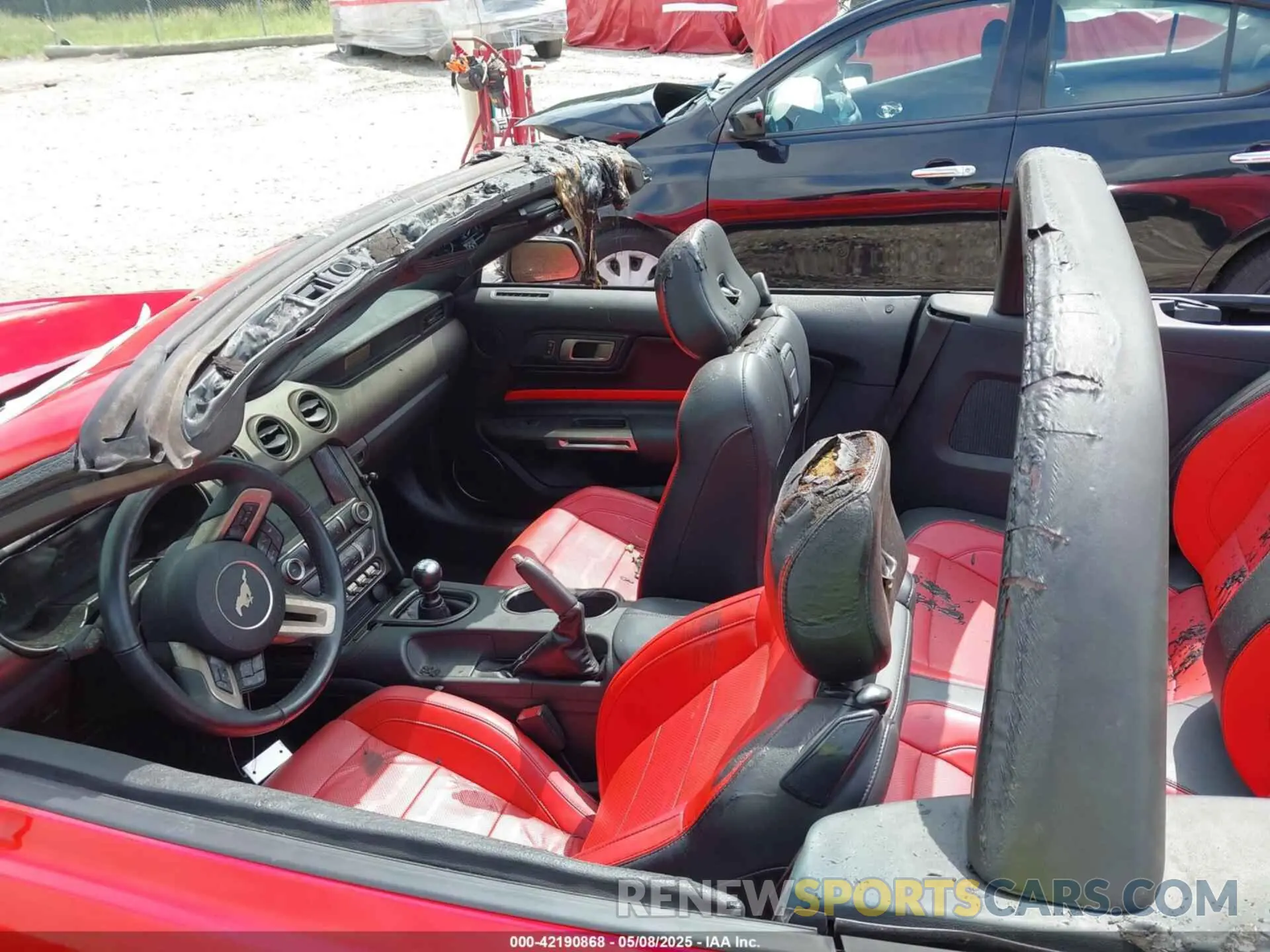 13 Photograph of a damaged car 1FATP8FF7K5204955 FORD MUSTANG 2019