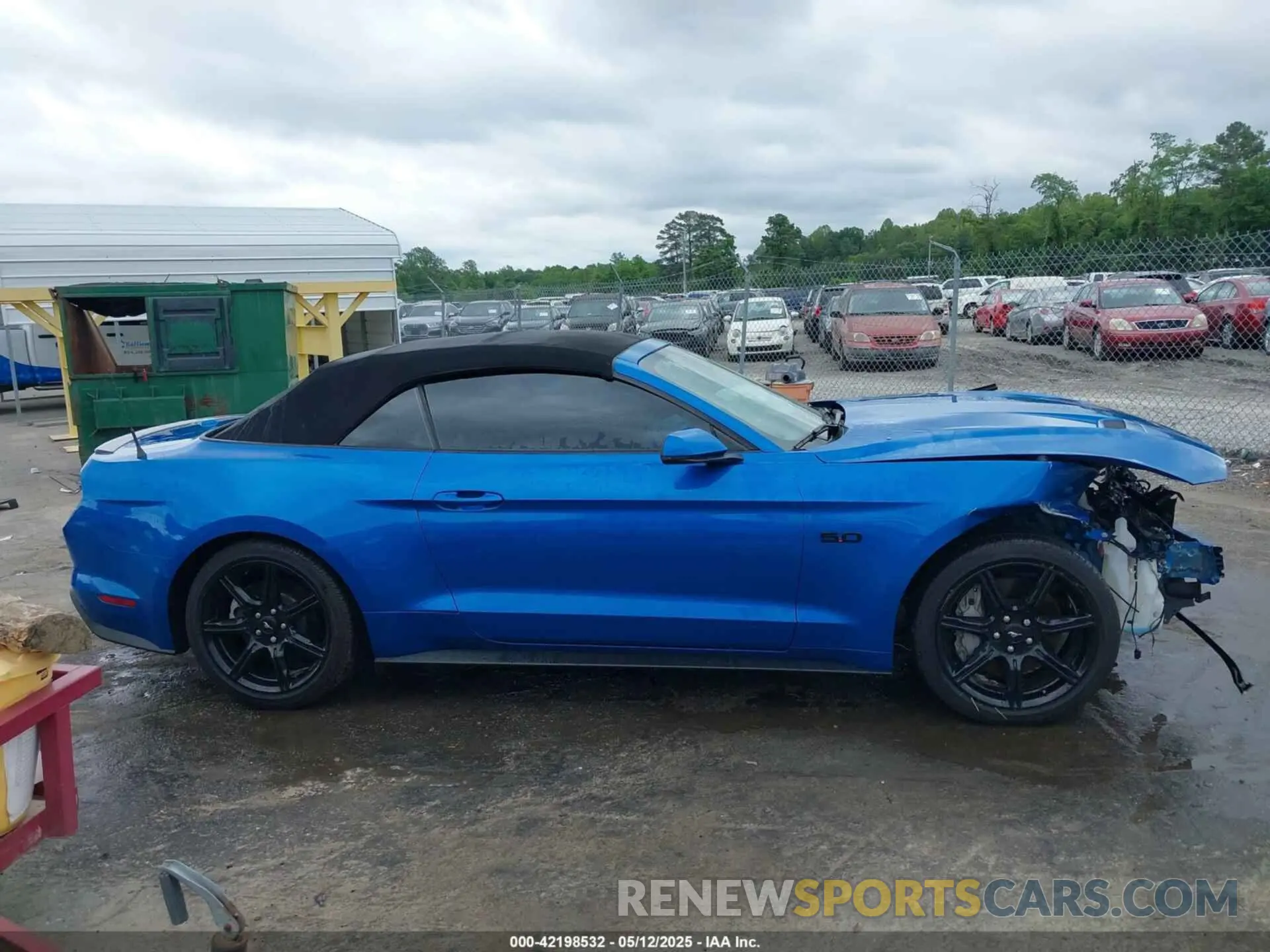 13 Photograph of a damaged car 1FATP8FF9K5204973 FORD MUSTANG 2019