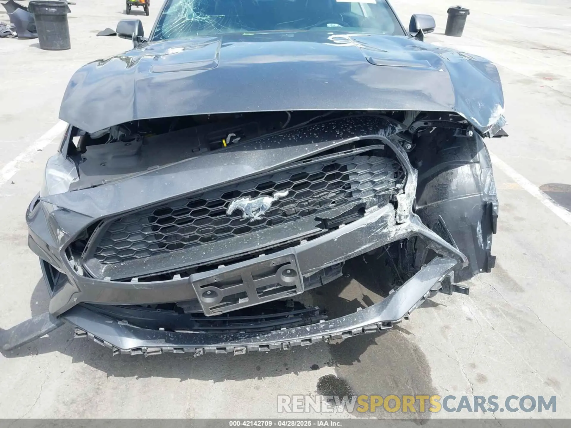 12 Photograph of a damaged car 1FATP8UH1K5161735 FORD MUSTANG 2019