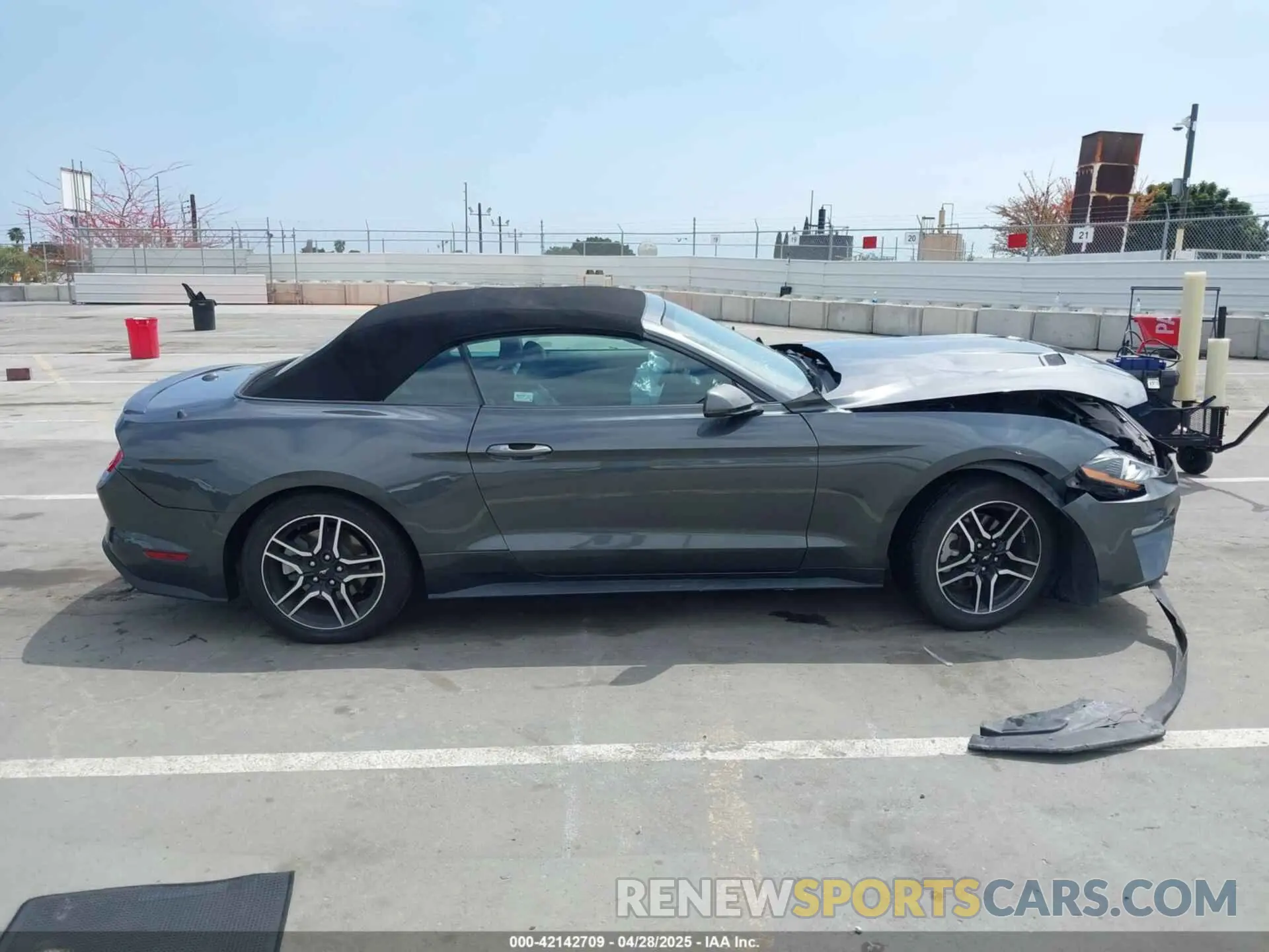 13 Photograph of a damaged car 1FATP8UH1K5161735 FORD MUSTANG 2019