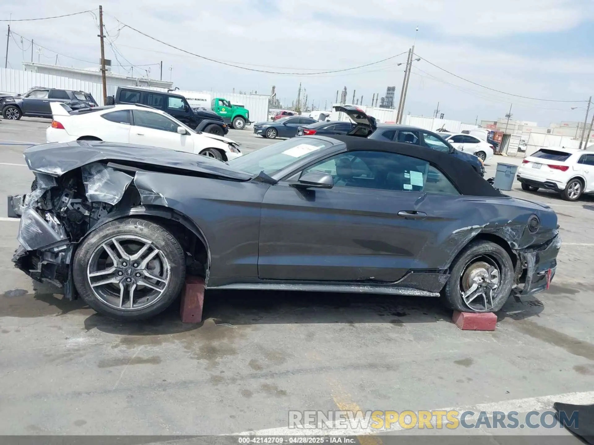 14 Photograph of a damaged car 1FATP8UH1K5161735 FORD MUSTANG 2019
