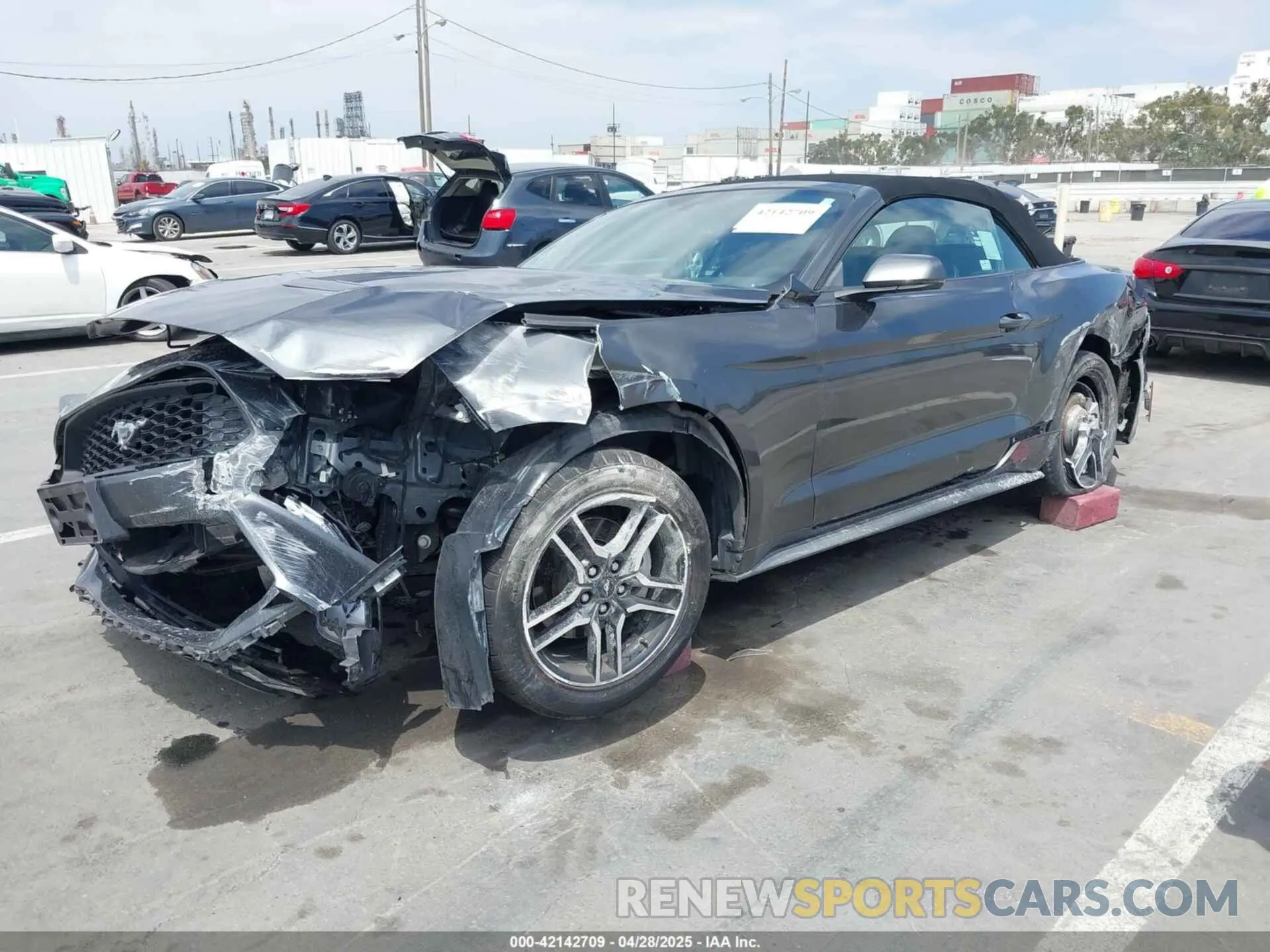 2 Photograph of a damaged car 1FATP8UH1K5161735 FORD MUSTANG 2019