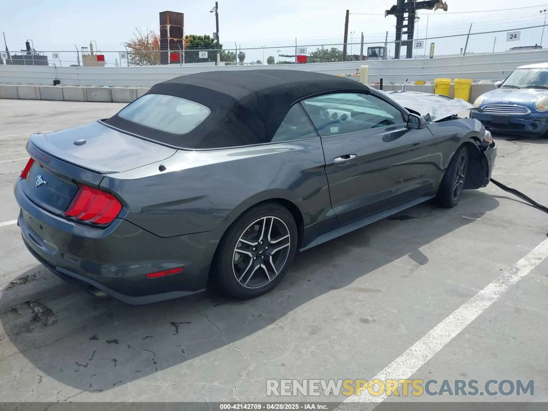 4 Photograph of a damaged car 1FATP8UH1K5161735 FORD MUSTANG 2019