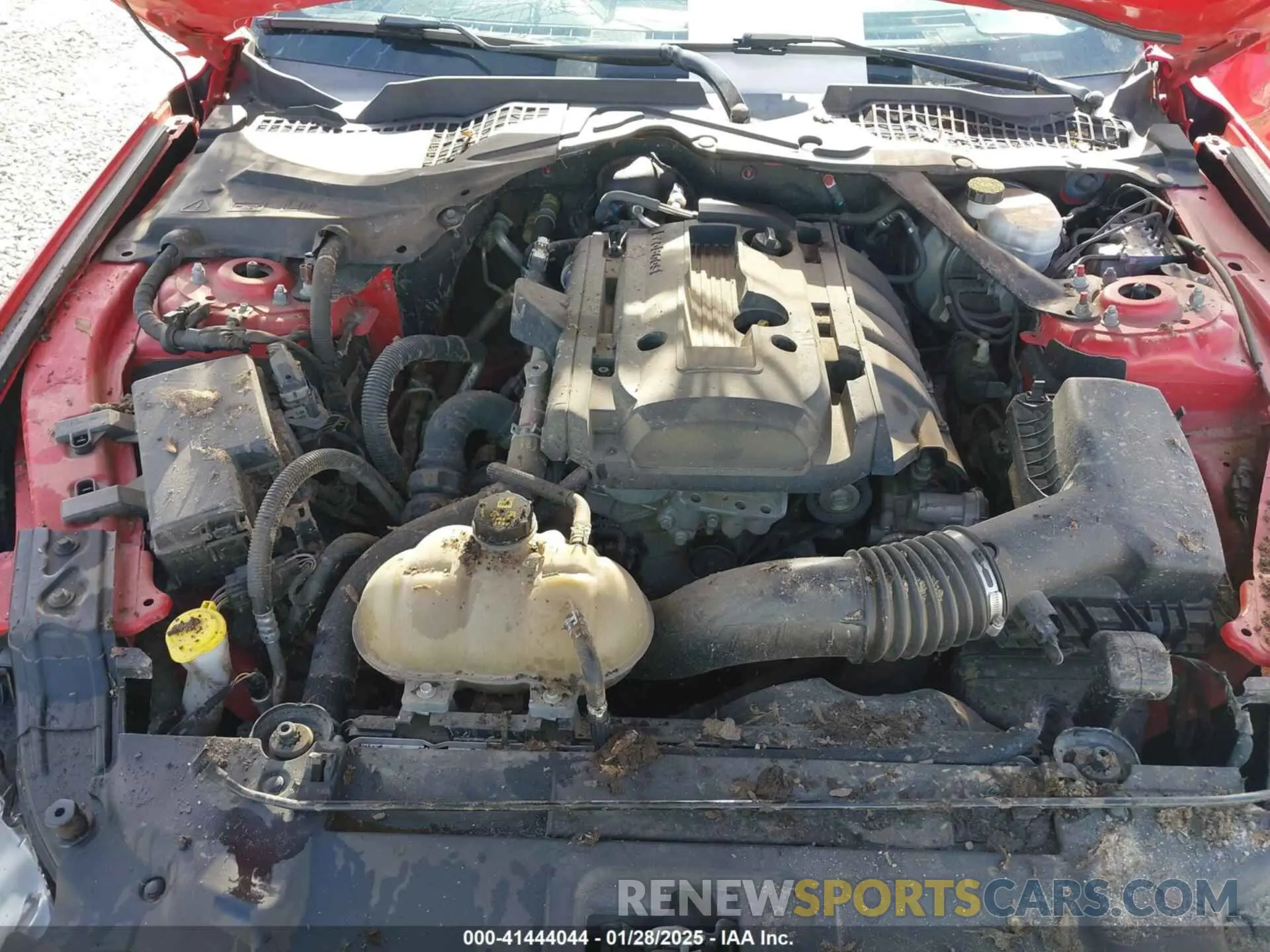 10 Photograph of a damaged car 1FATP8UH3K5159551 FORD MUSTANG 2019